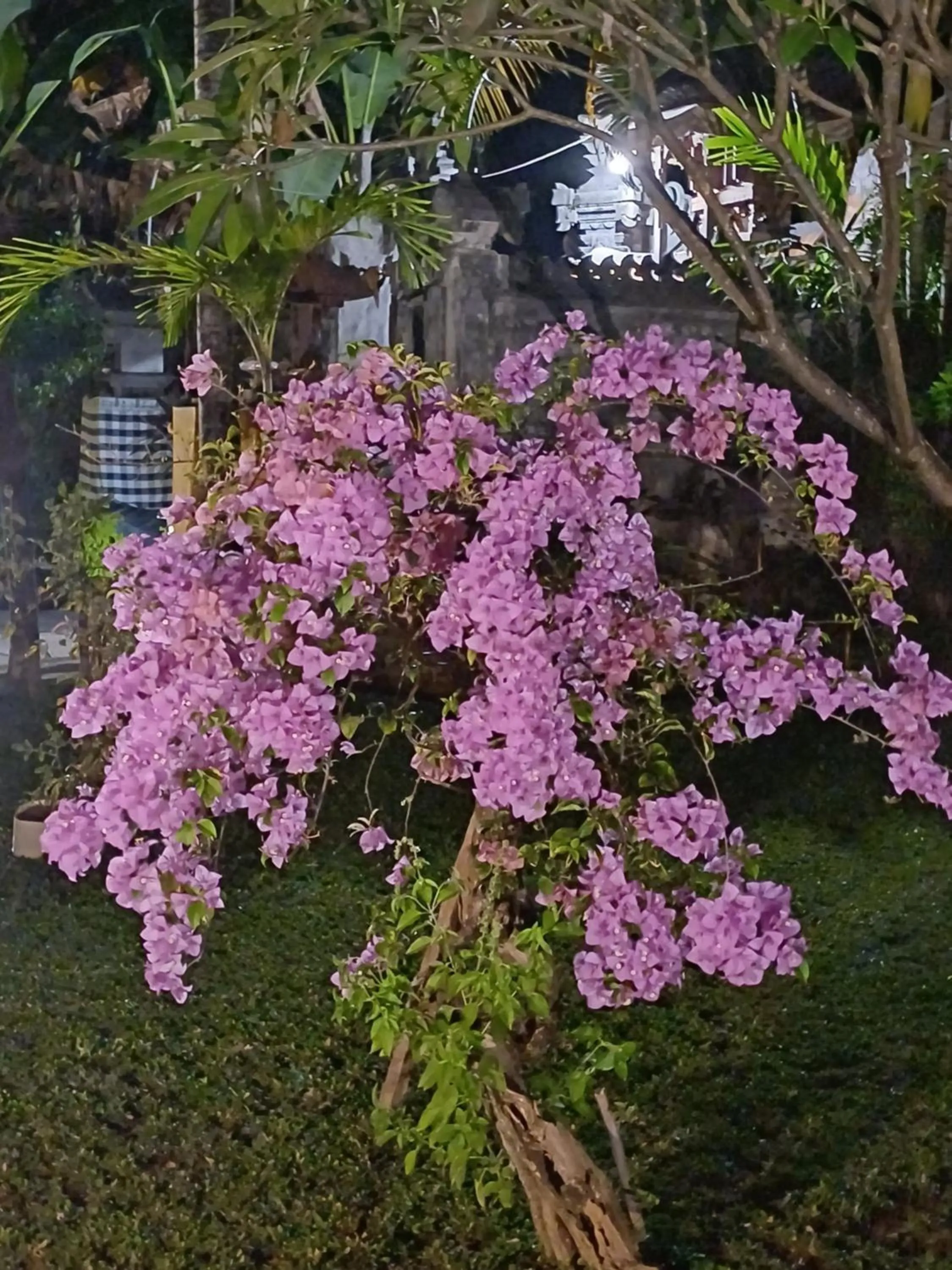 Balinda Rooms & Villa