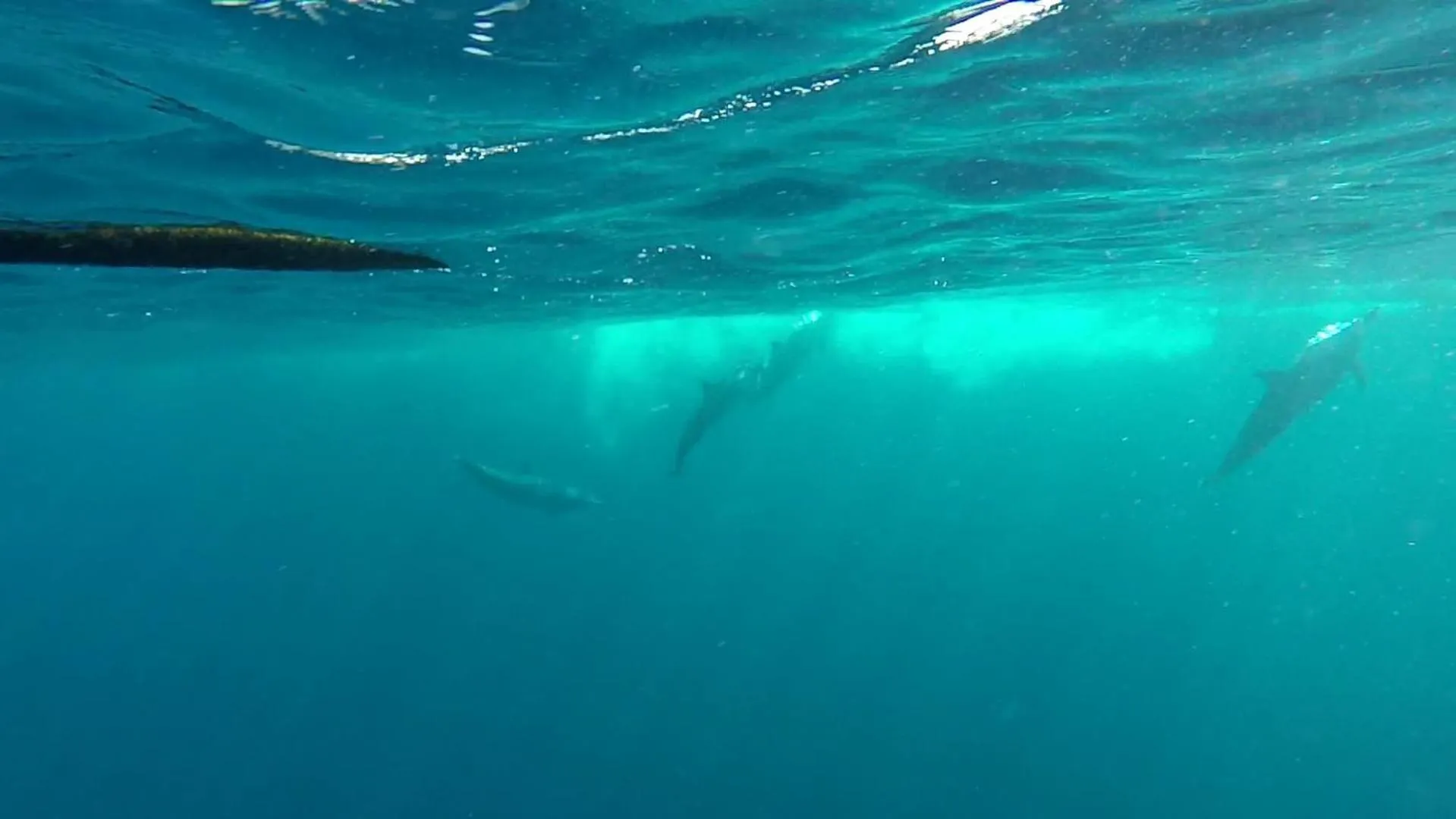 Puri Mandhara Lovina