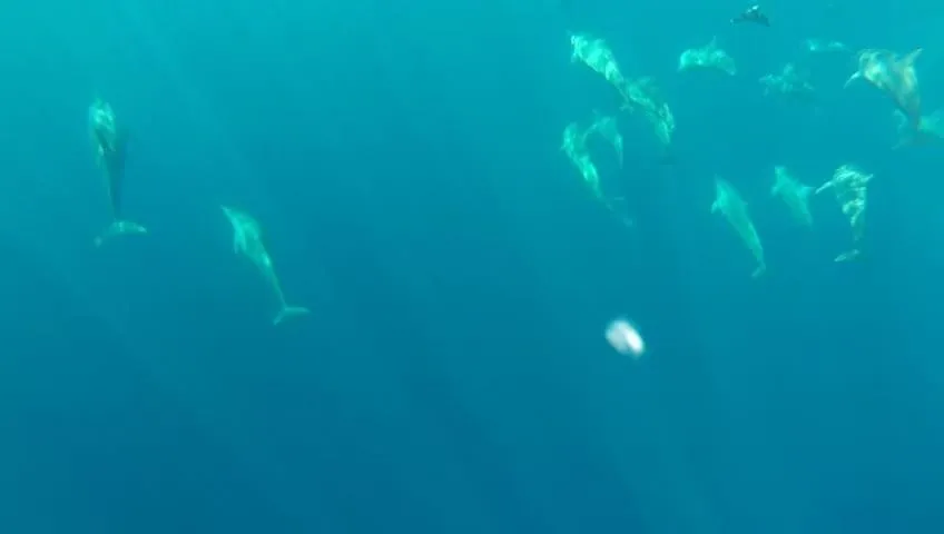 Puri Mandhara Lovina