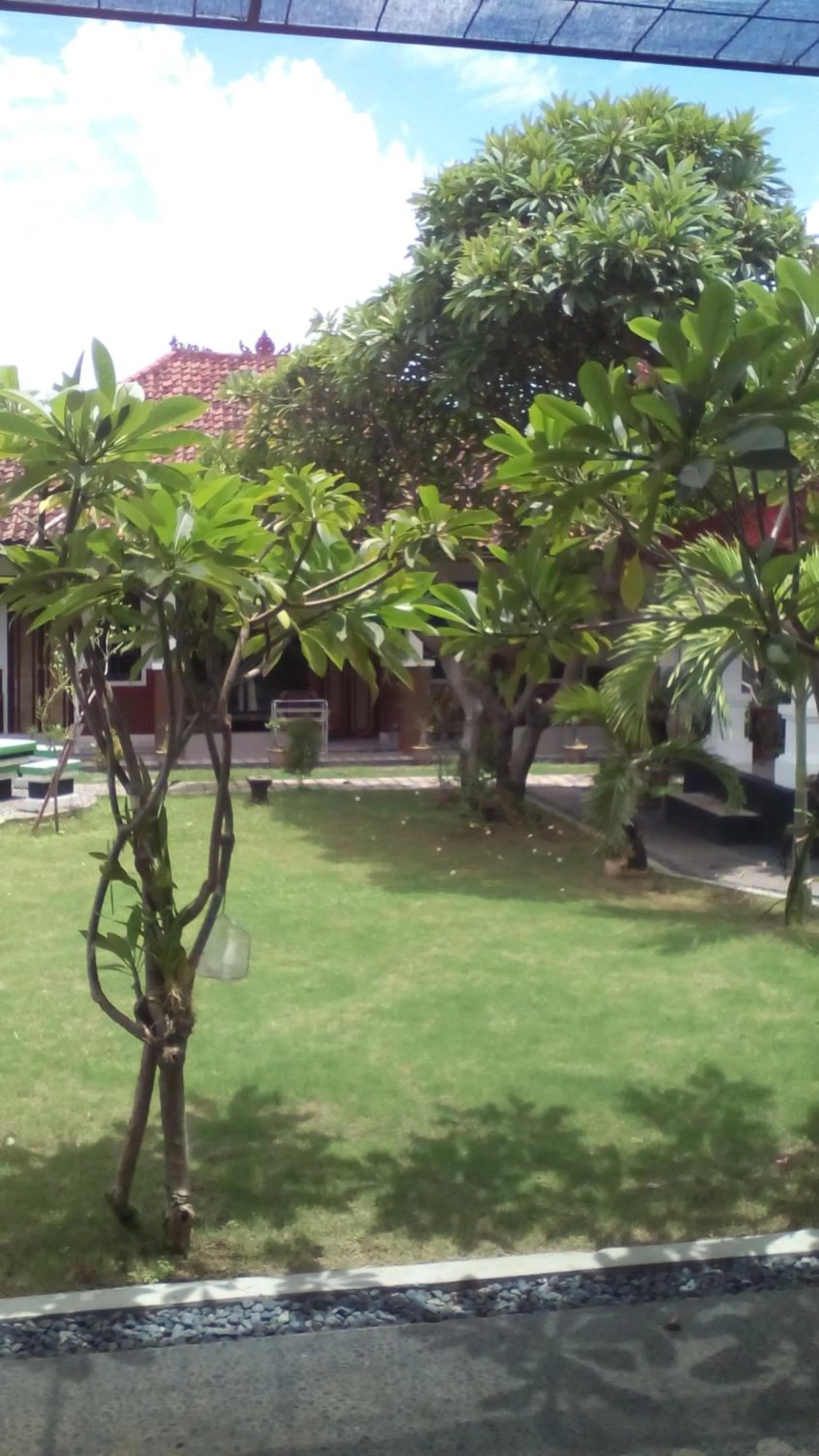 Garden in Puri Mandhara Lovina