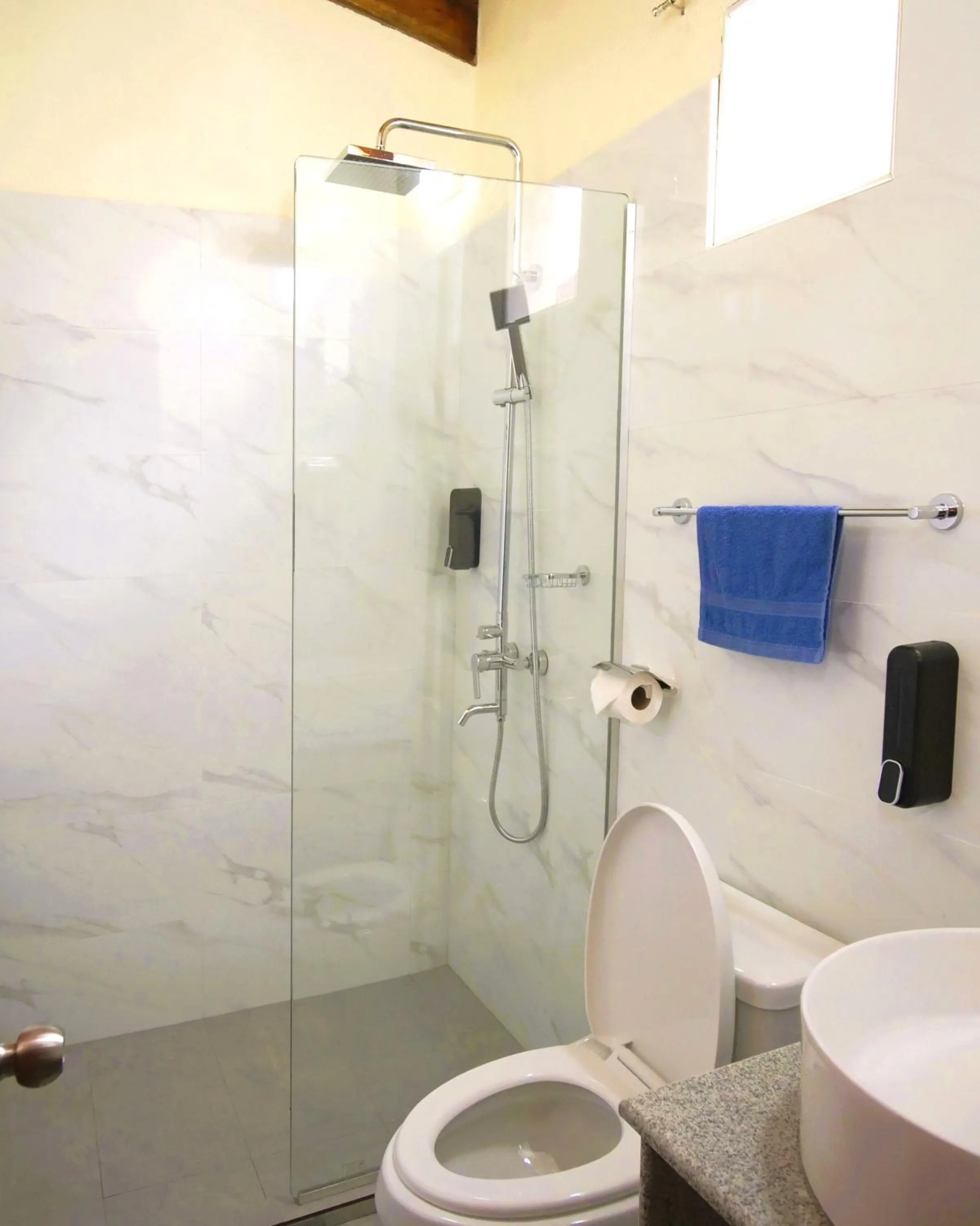 Shower in Alona Austria Resort