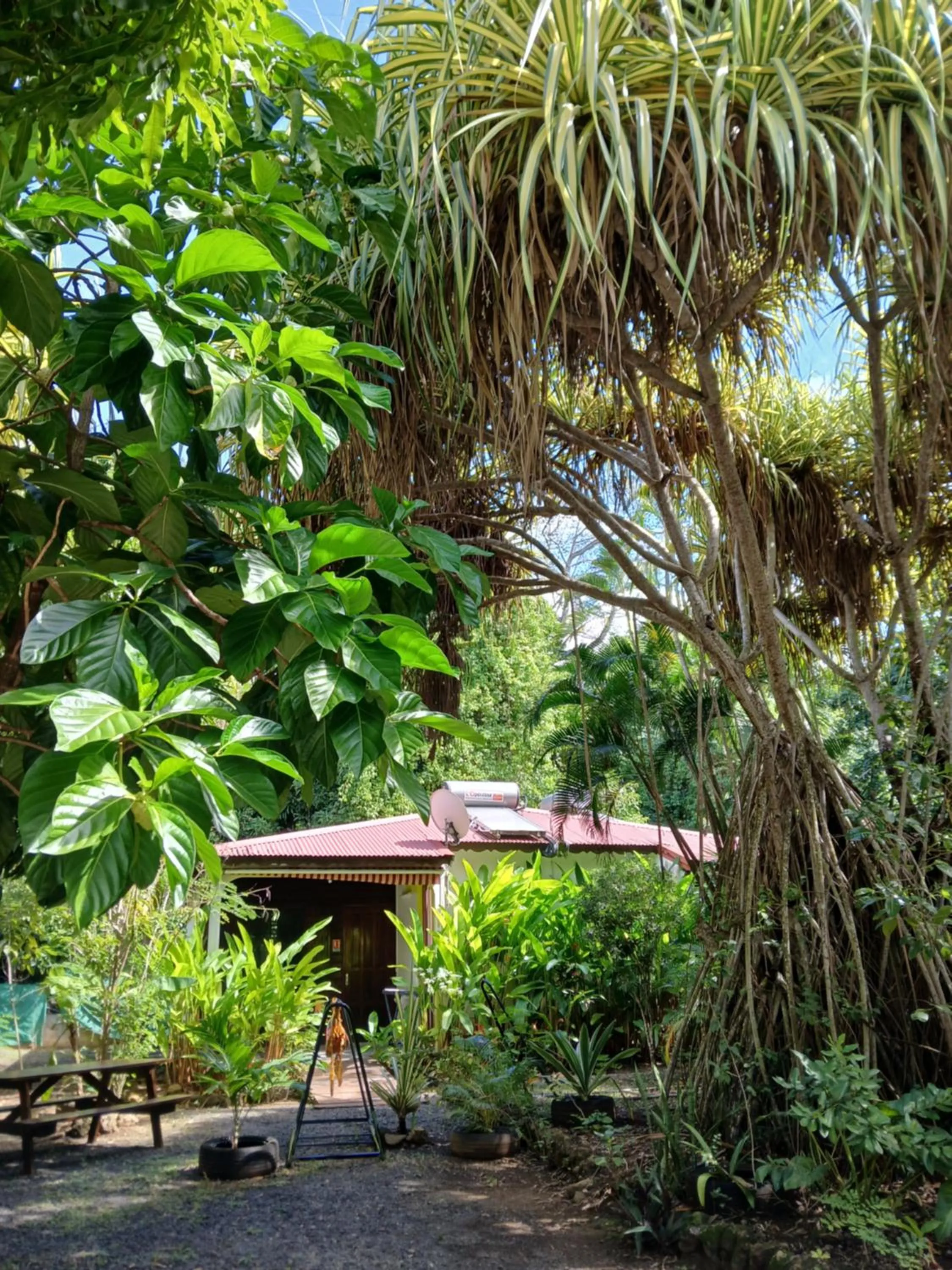 Natural landscape in Résidence Les MANGUIERS OTANTIK