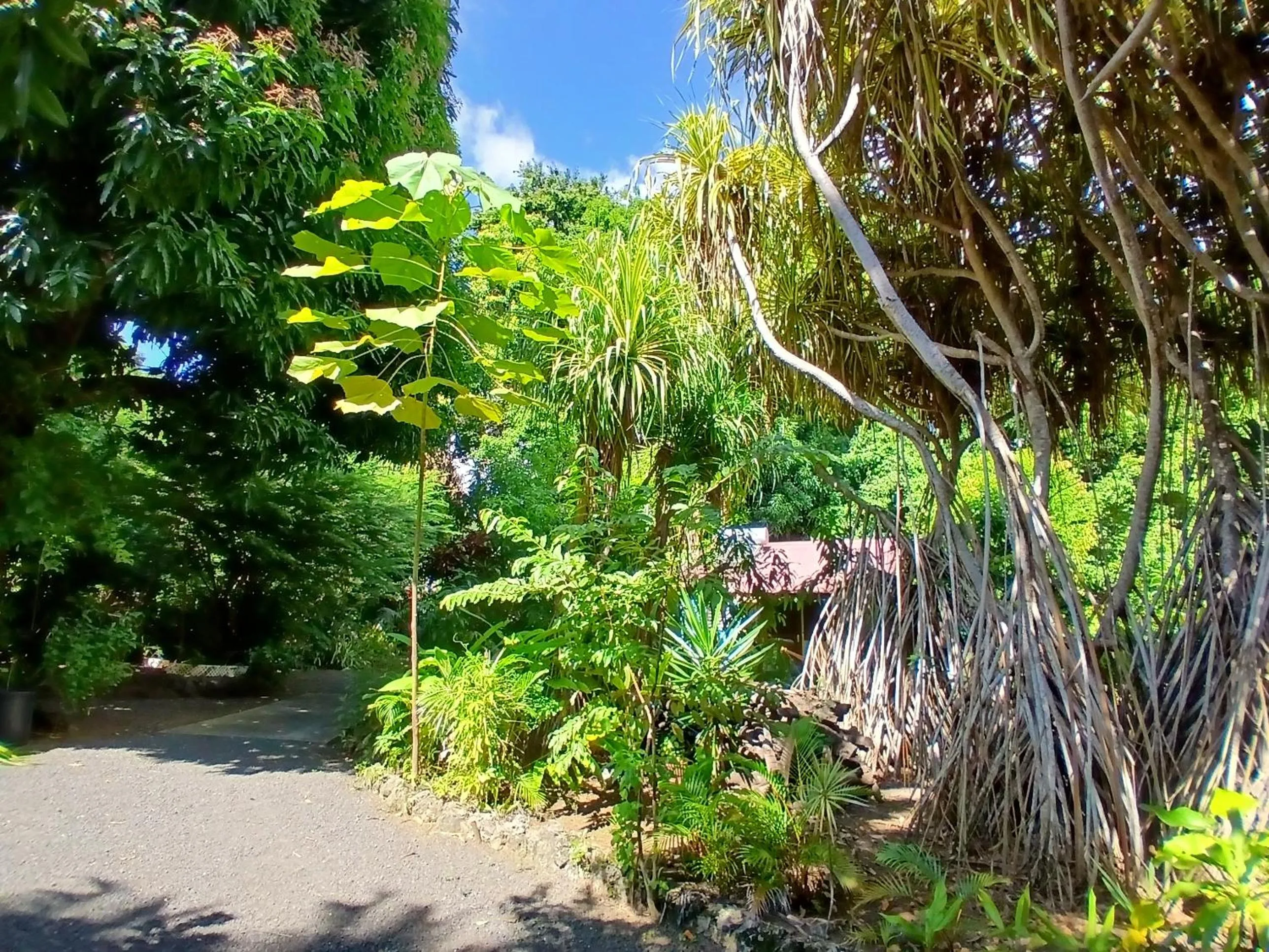 Résidence Les MANGUIERS OTANTIK