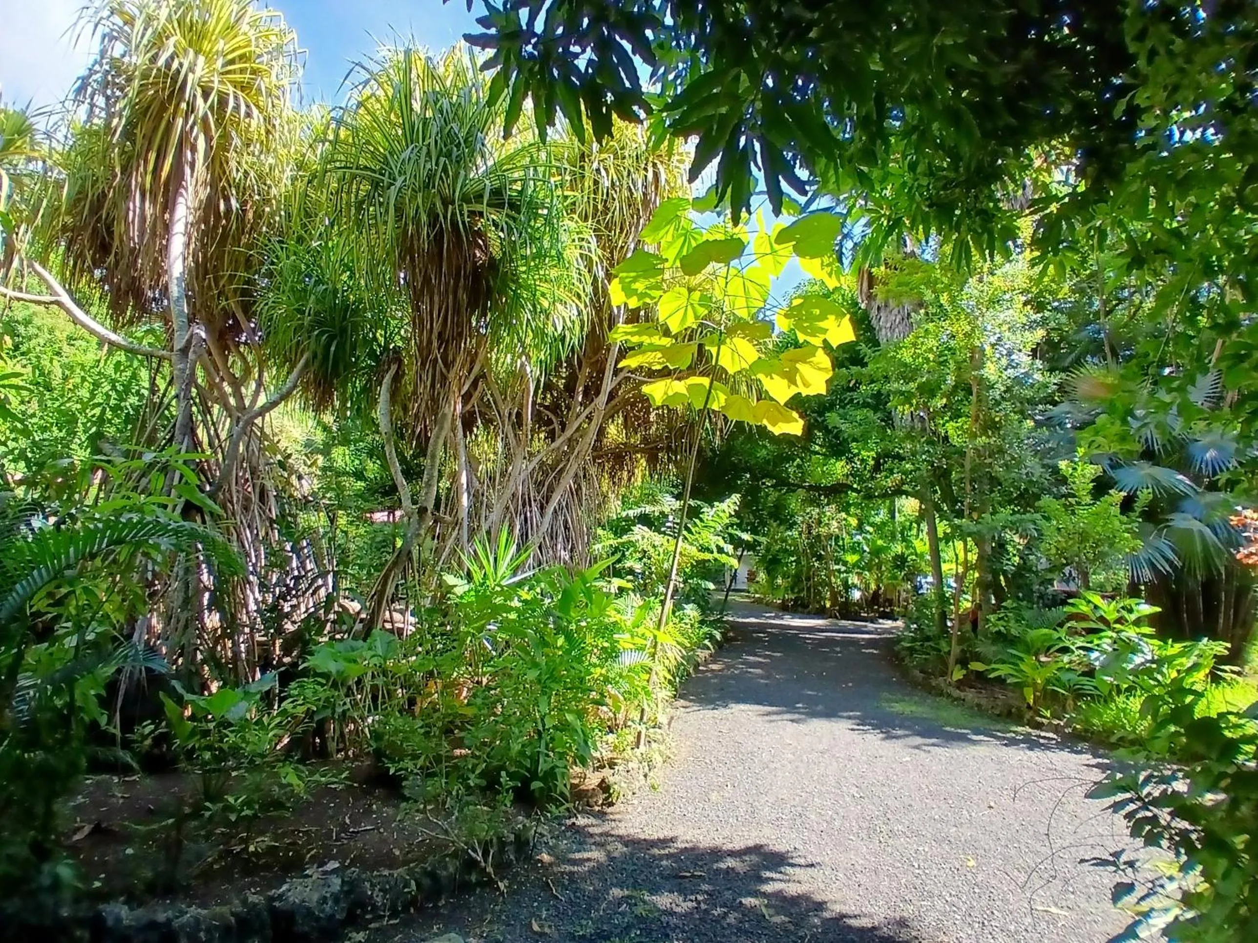 Résidence Les MANGUIERS OTANTIK