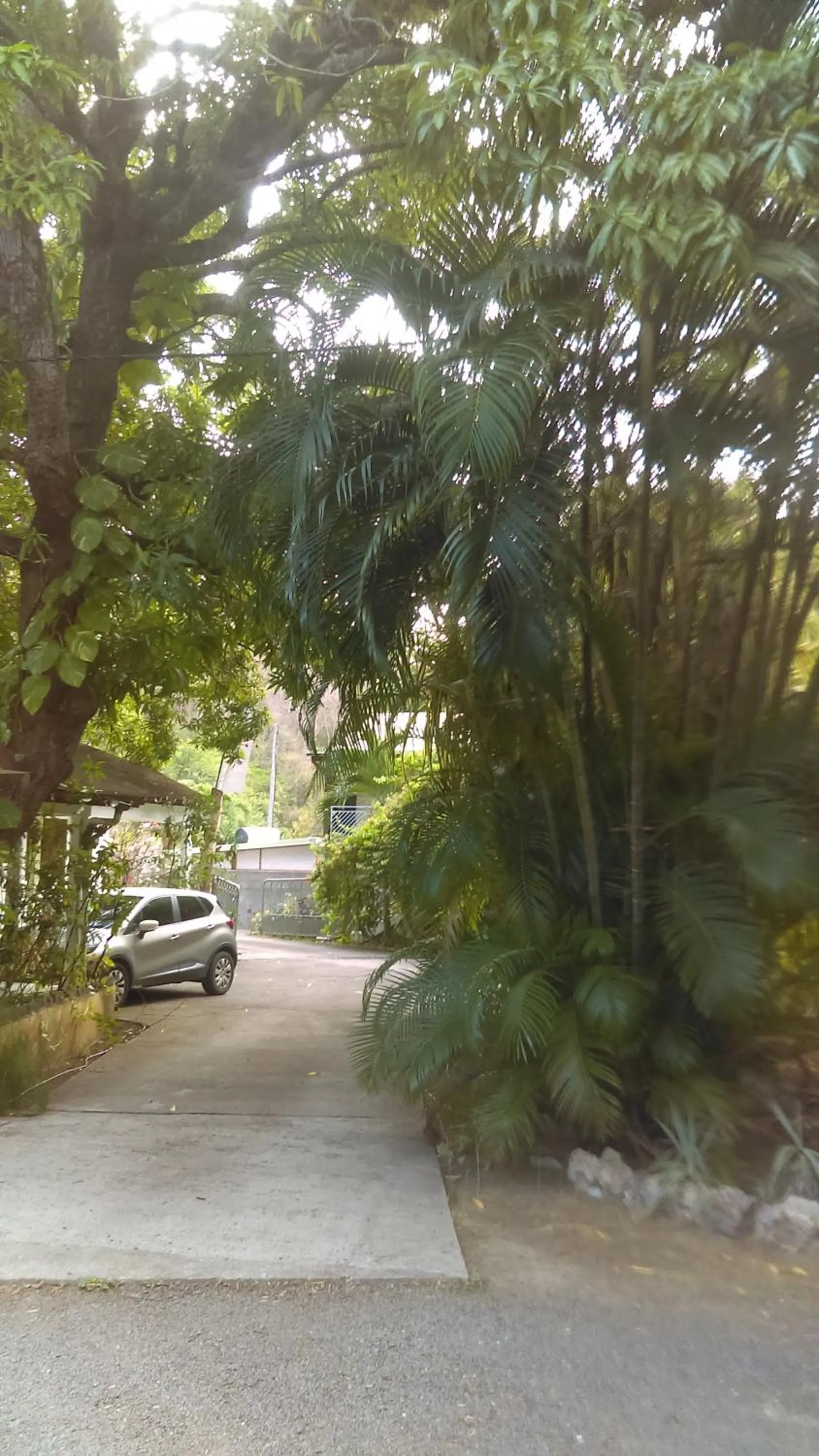 Facade/entrance in Résidence Les MANGUIERS OTANTIK