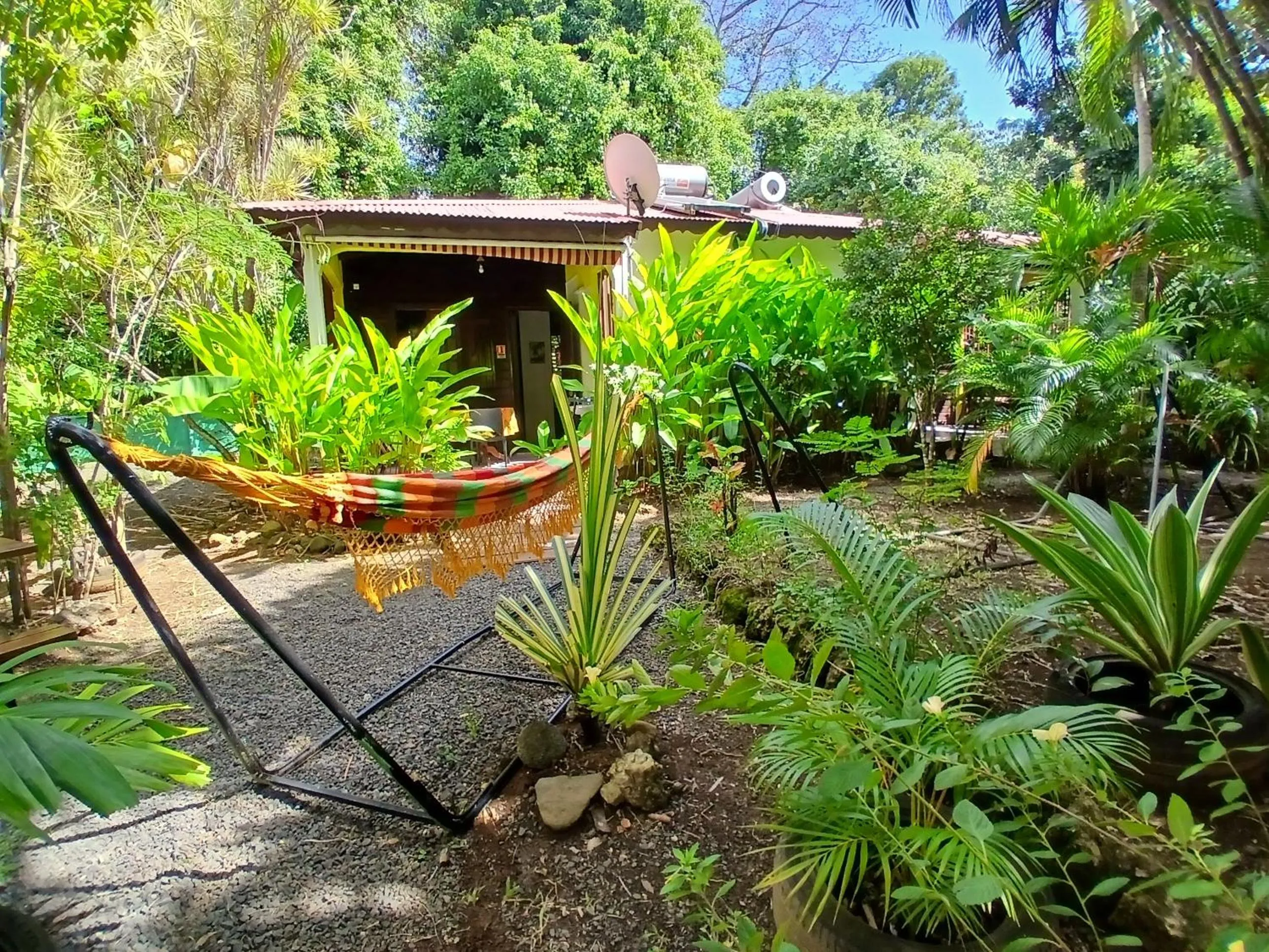 Patio in Résidence Les MANGUIERS OTANTIK