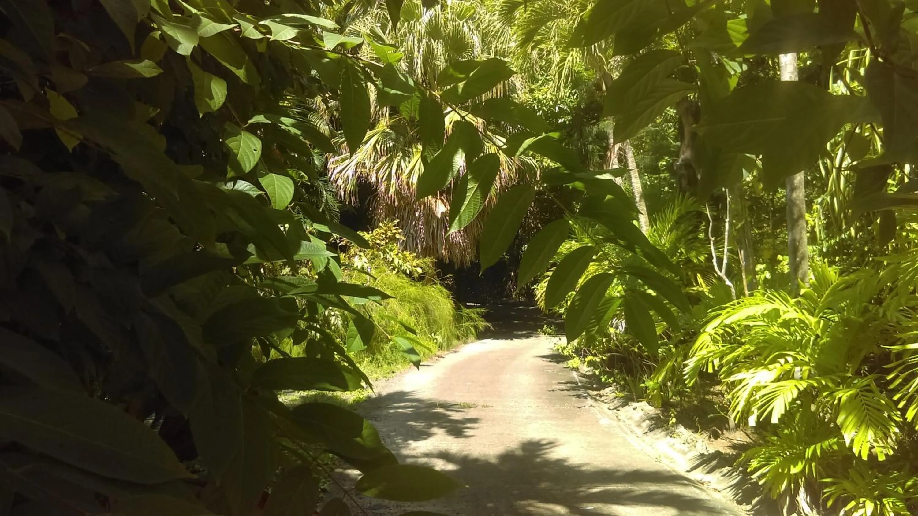 Natural landscape in Résidence Les MANGUIERS OTANTIK