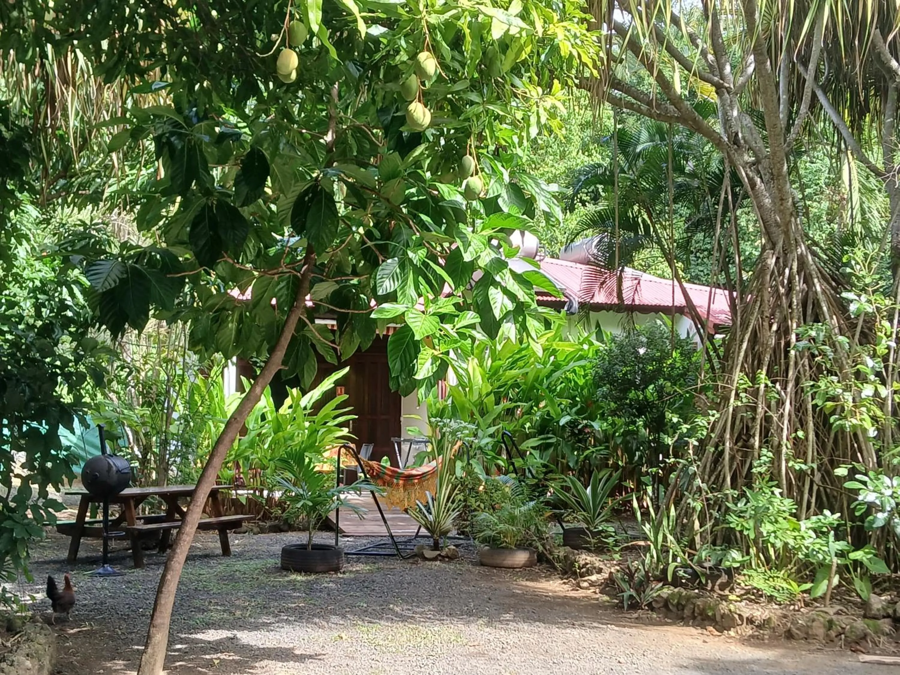 Natural landscape in Résidence Les MANGUIERS OTANTIK
