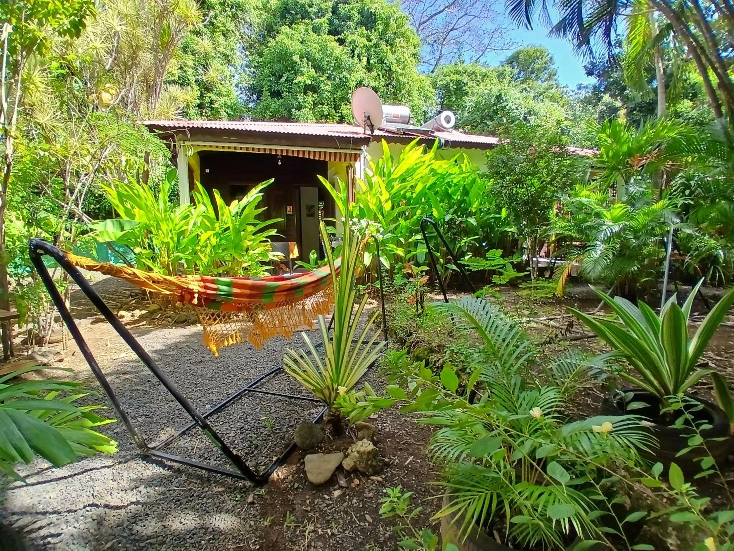 Natural landscape in Résidence Les MANGUIERS OTANTIK