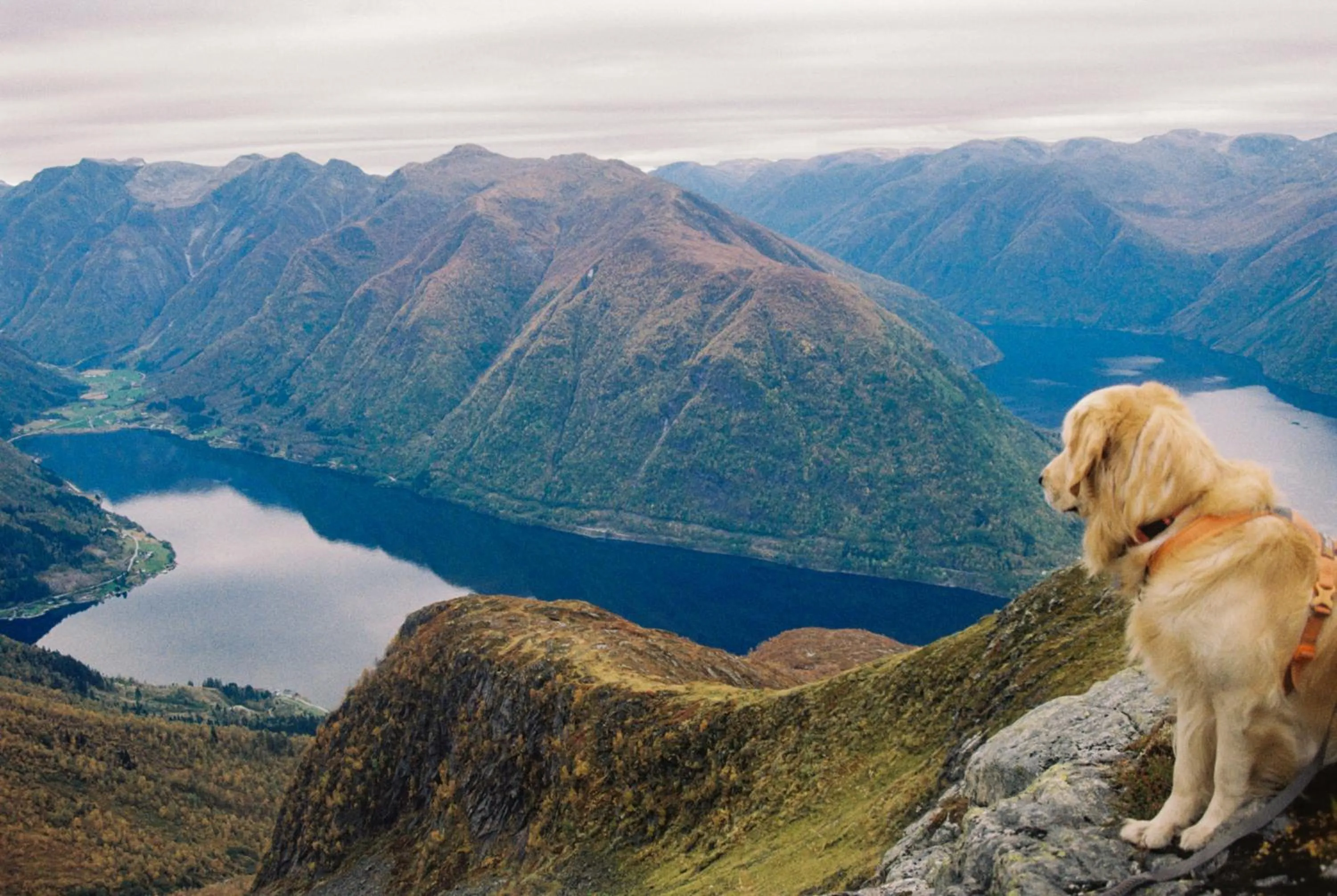Natural landscape in Balestrand Hotel