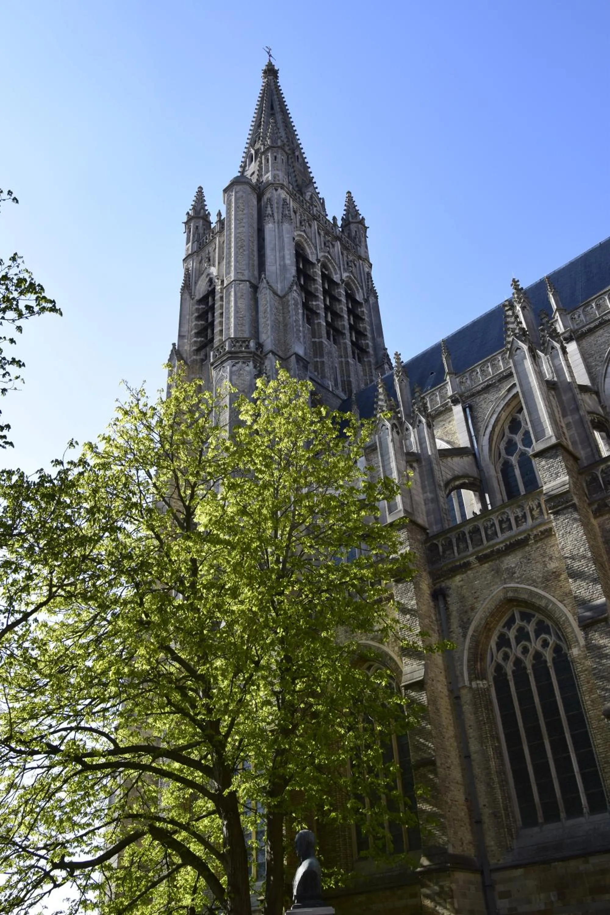Area and facilities in Hotel Gasthof 't Zweerd