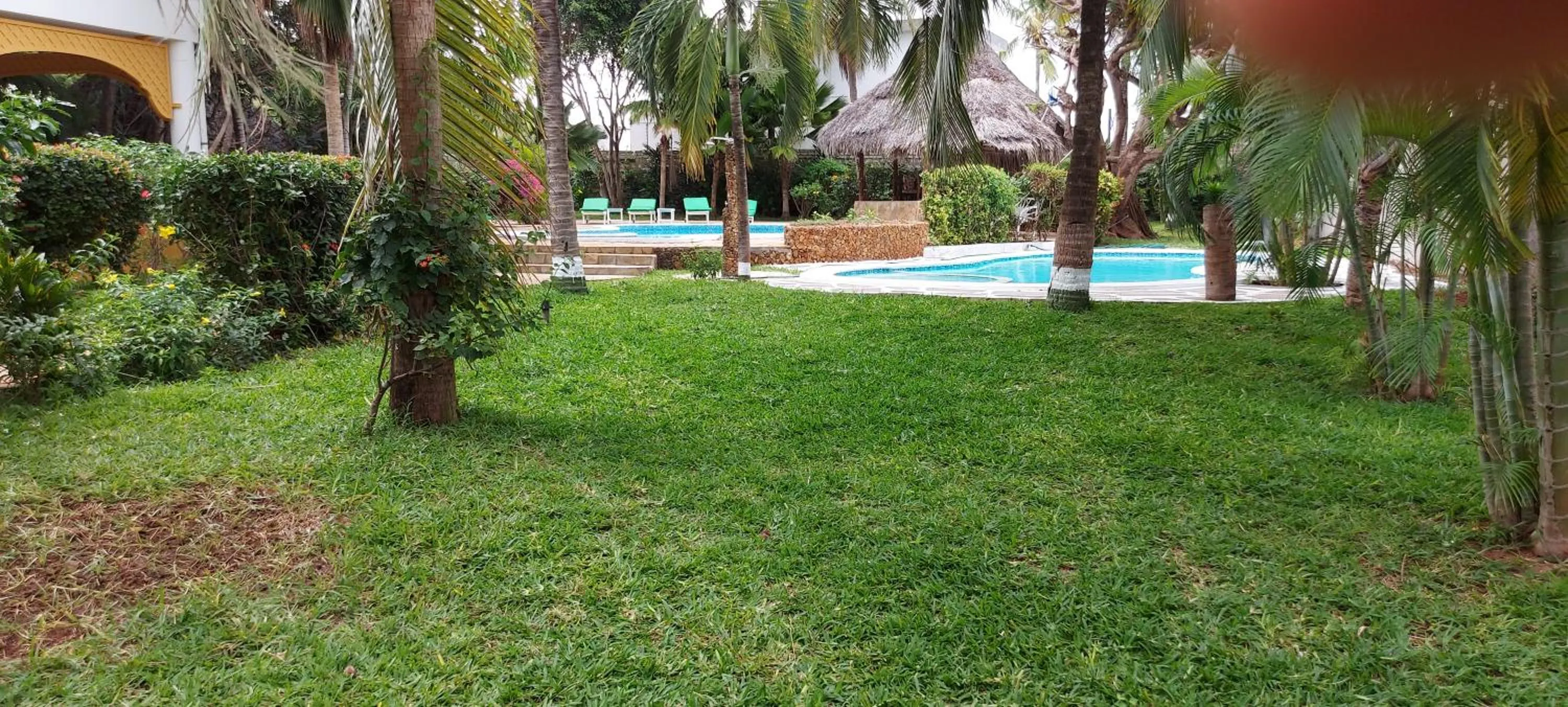 Garden in The Villa Mela, Malindi