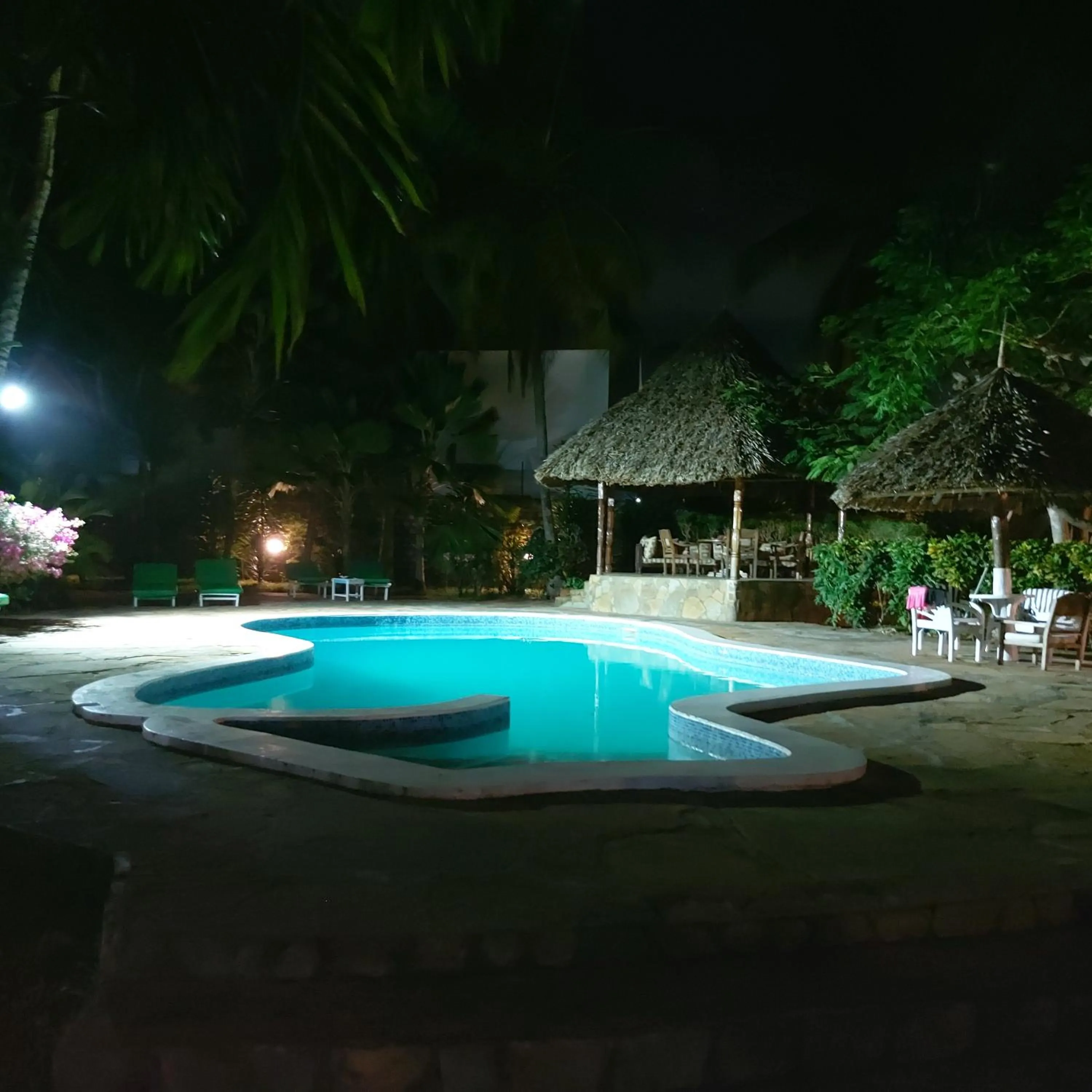 Swimming pool in The Villa Mela, Malindi