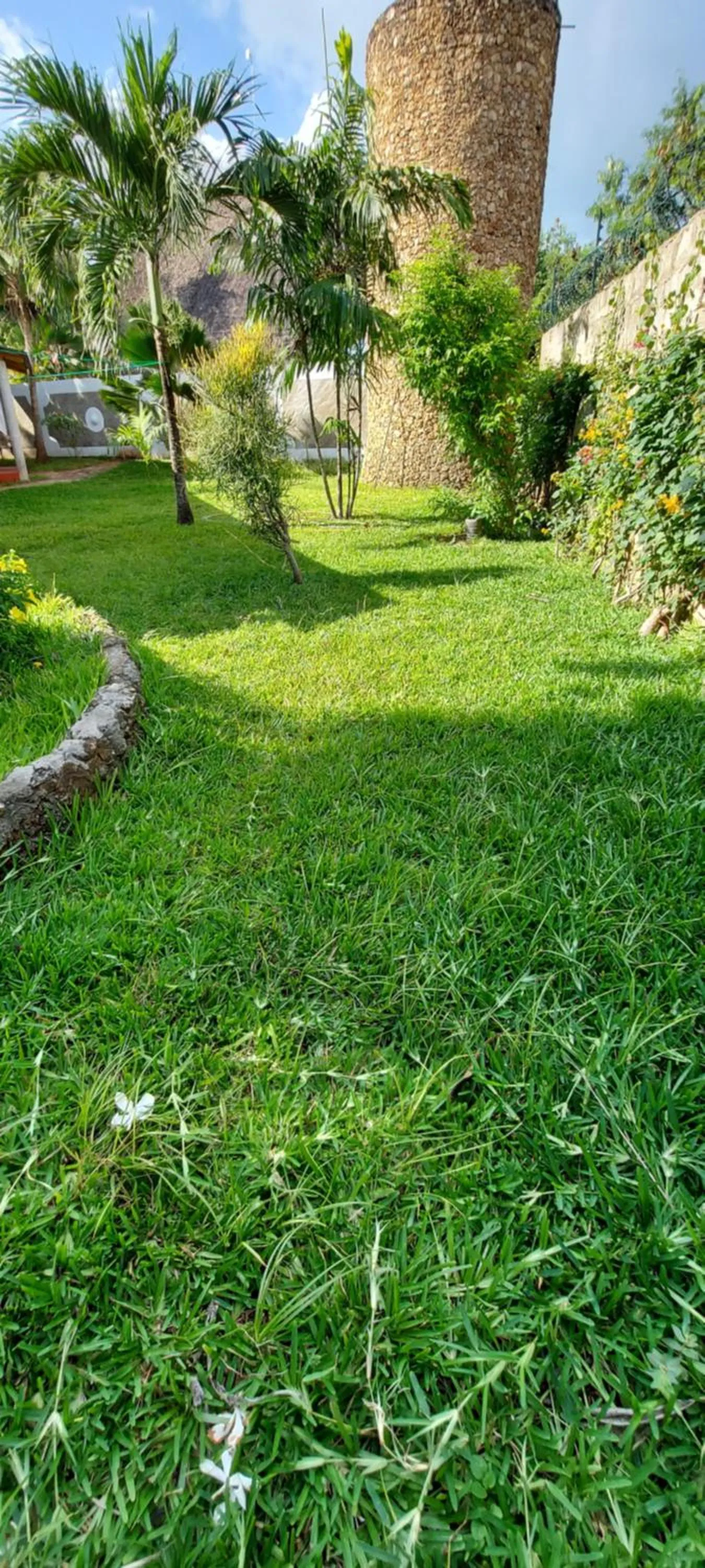 Garden in The Villa Mela, Malindi