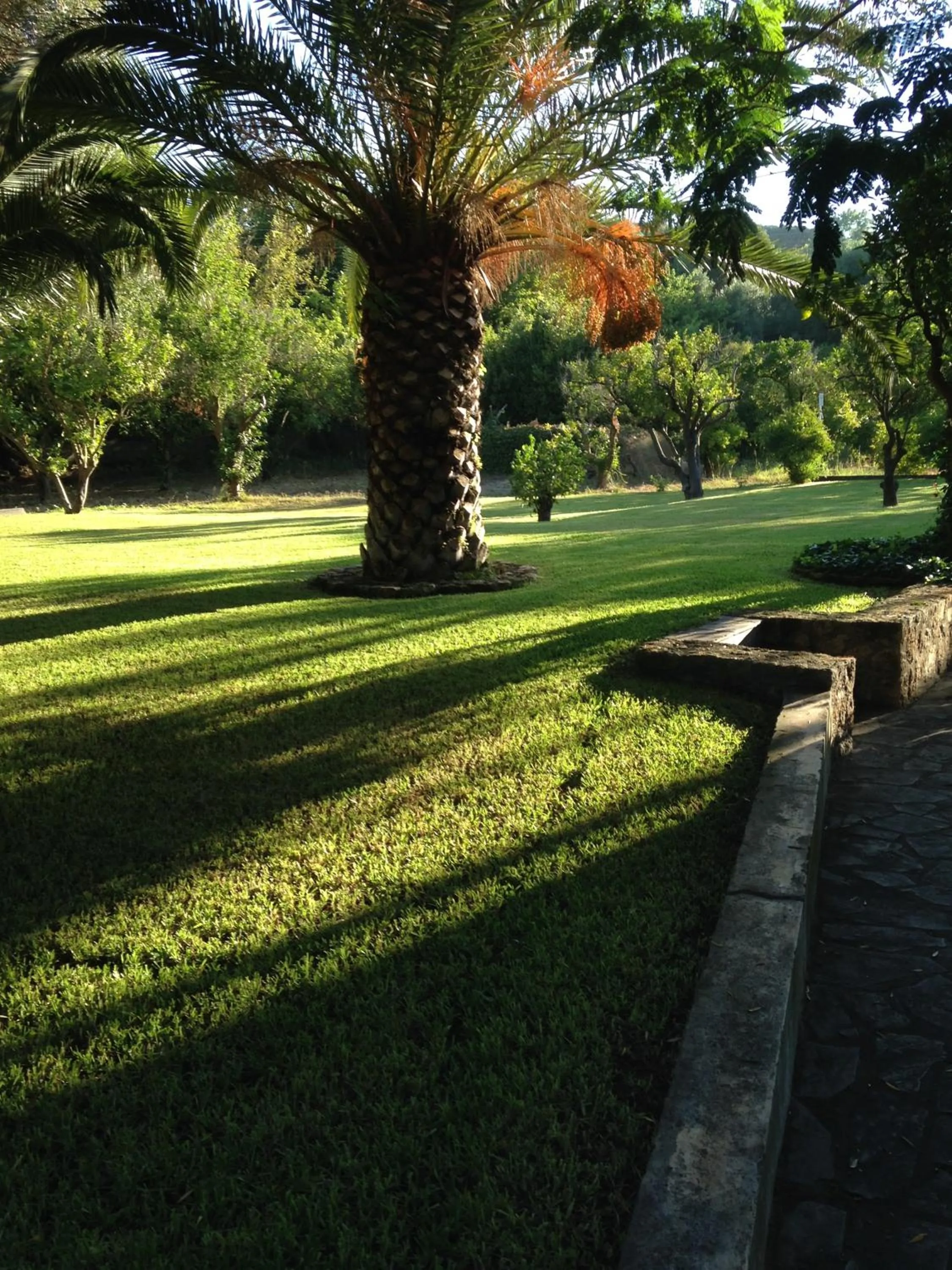 Garden in Inglessata Rose