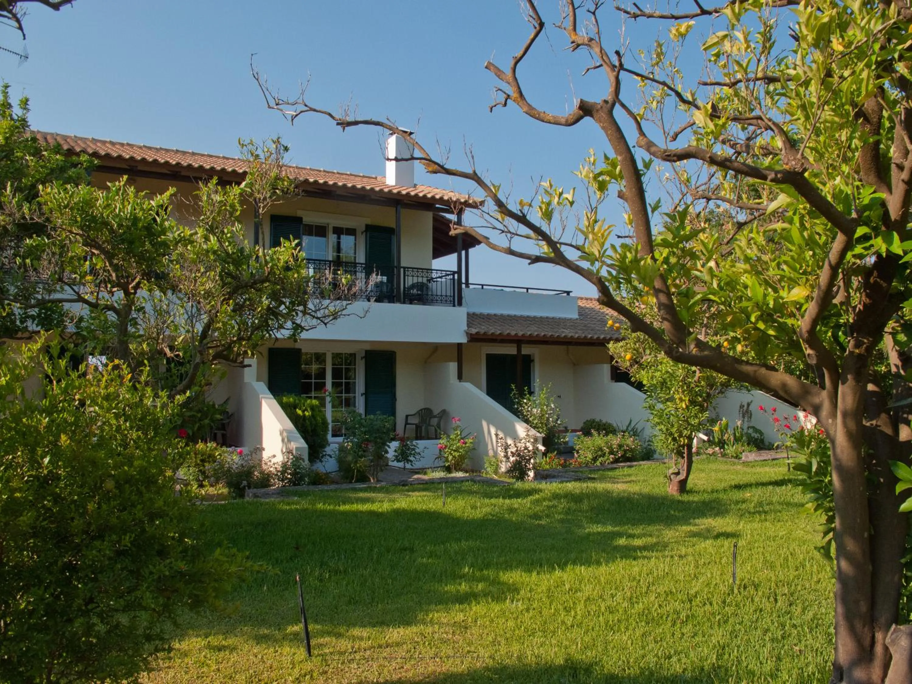 Garden in Inglessata Rose