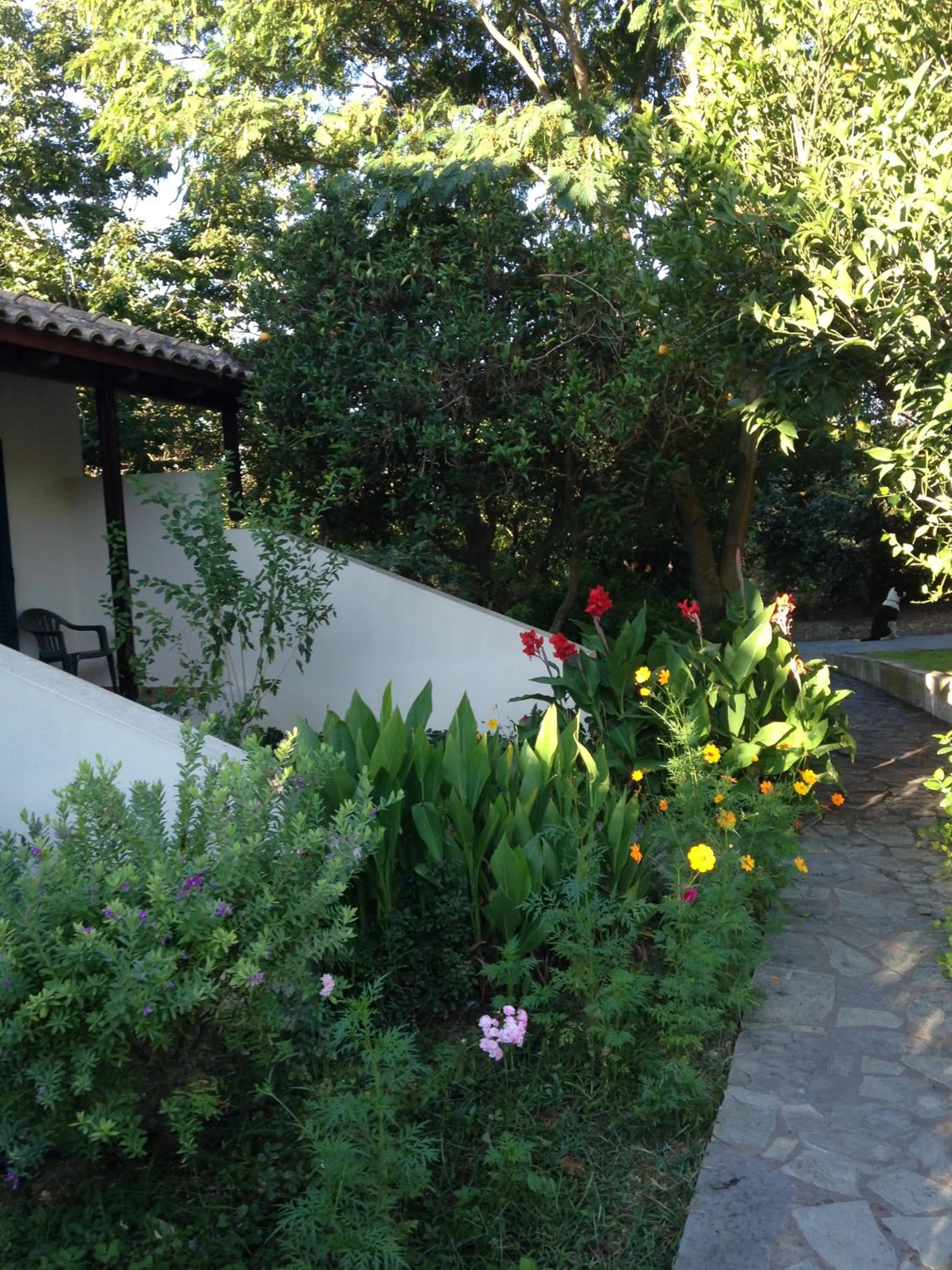 Patio in Inglessata Rose