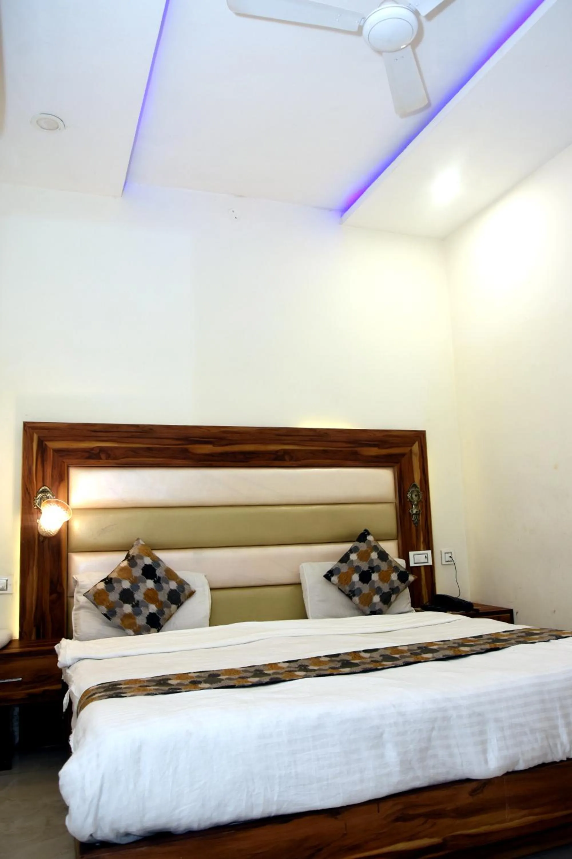 Photo of the whole room in Hotel D Plaza