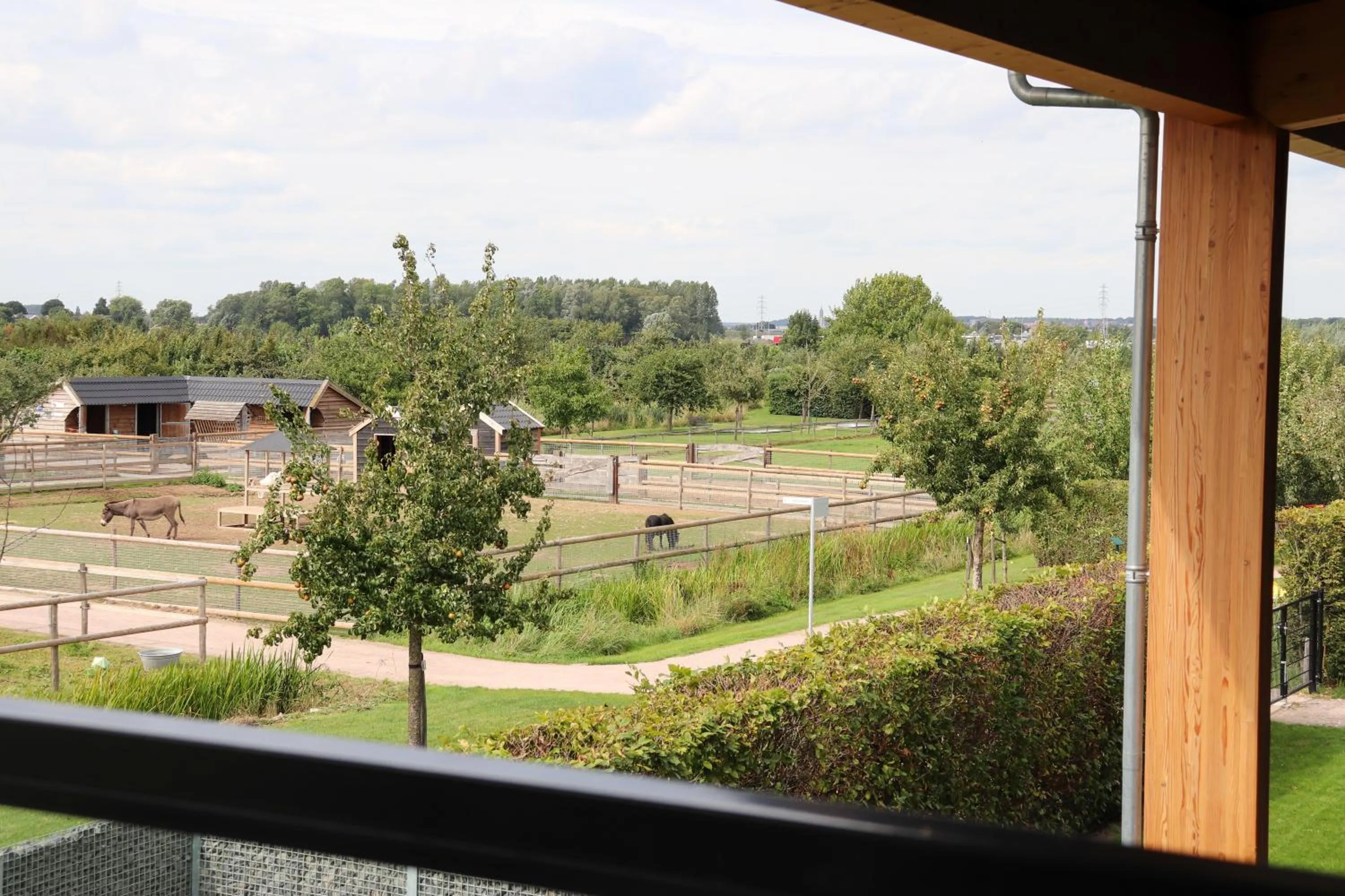 Balcony/Terrace in Fruitpark Hotel & Spa