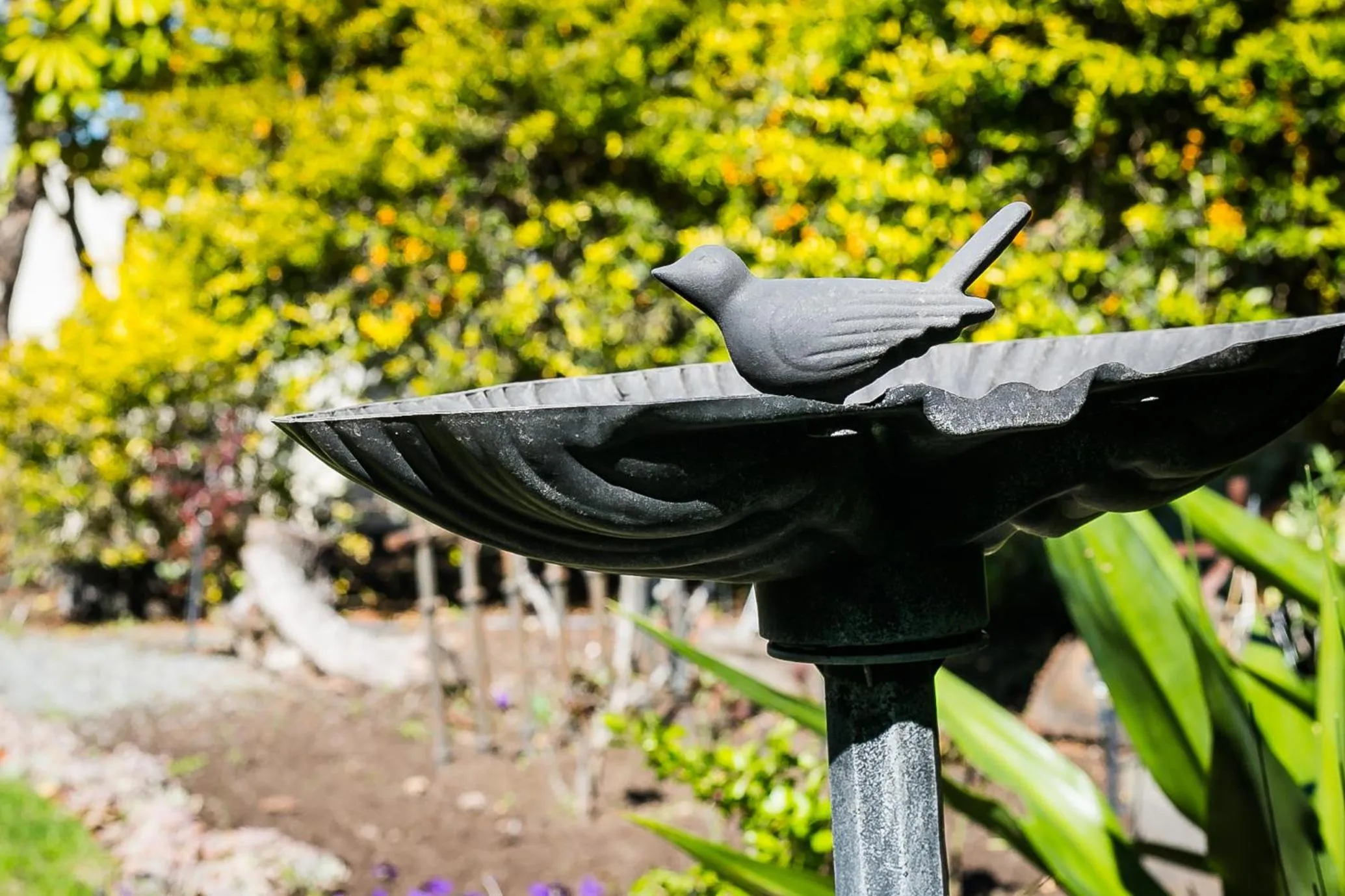 Dreamers Guesthouse - NO LOADSHEDDING