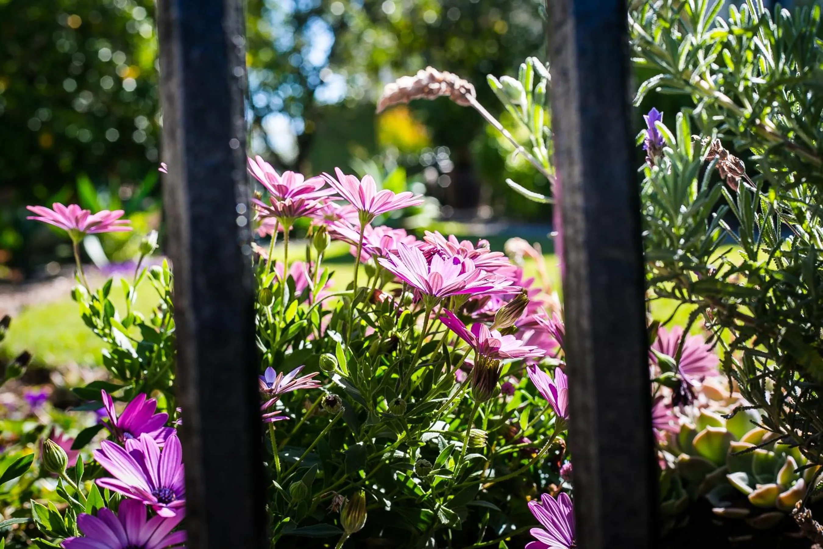 Dreamers Guesthouse - NO LOADSHEDDING