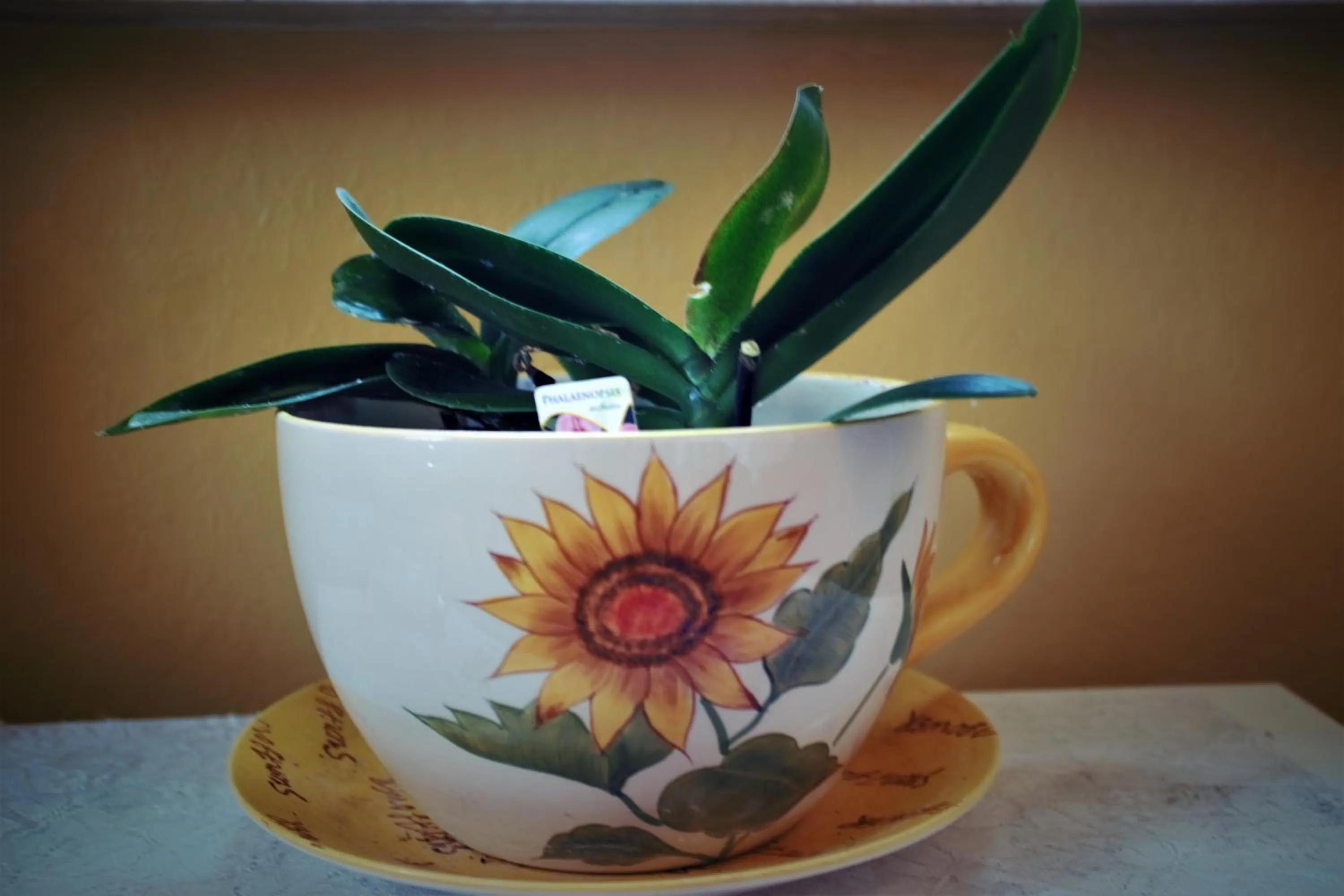 Decorative detail in Hotel Moorbadstuben