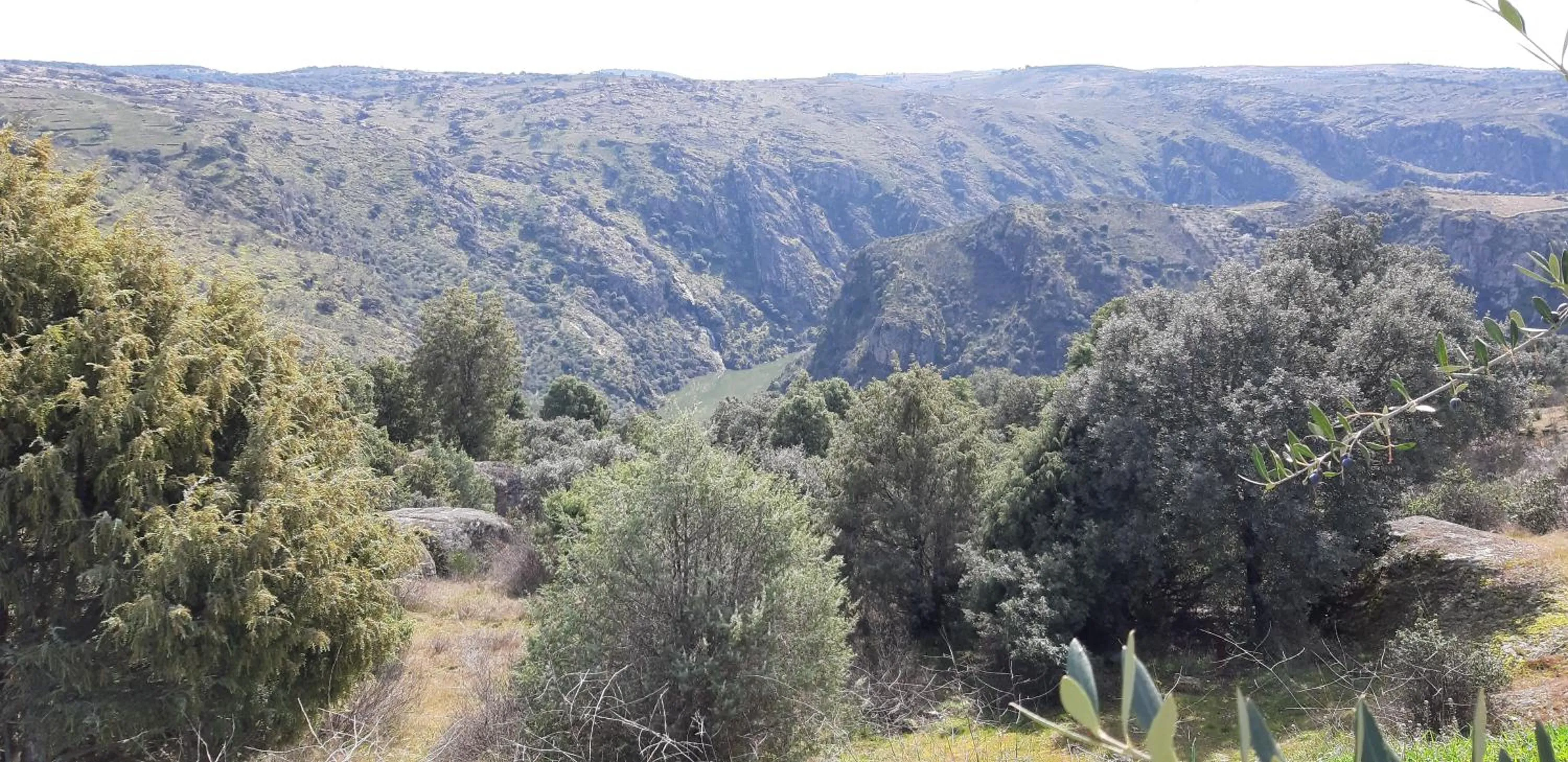 Hiking in La Casa del Regidor Hotel Rural Fermoselle