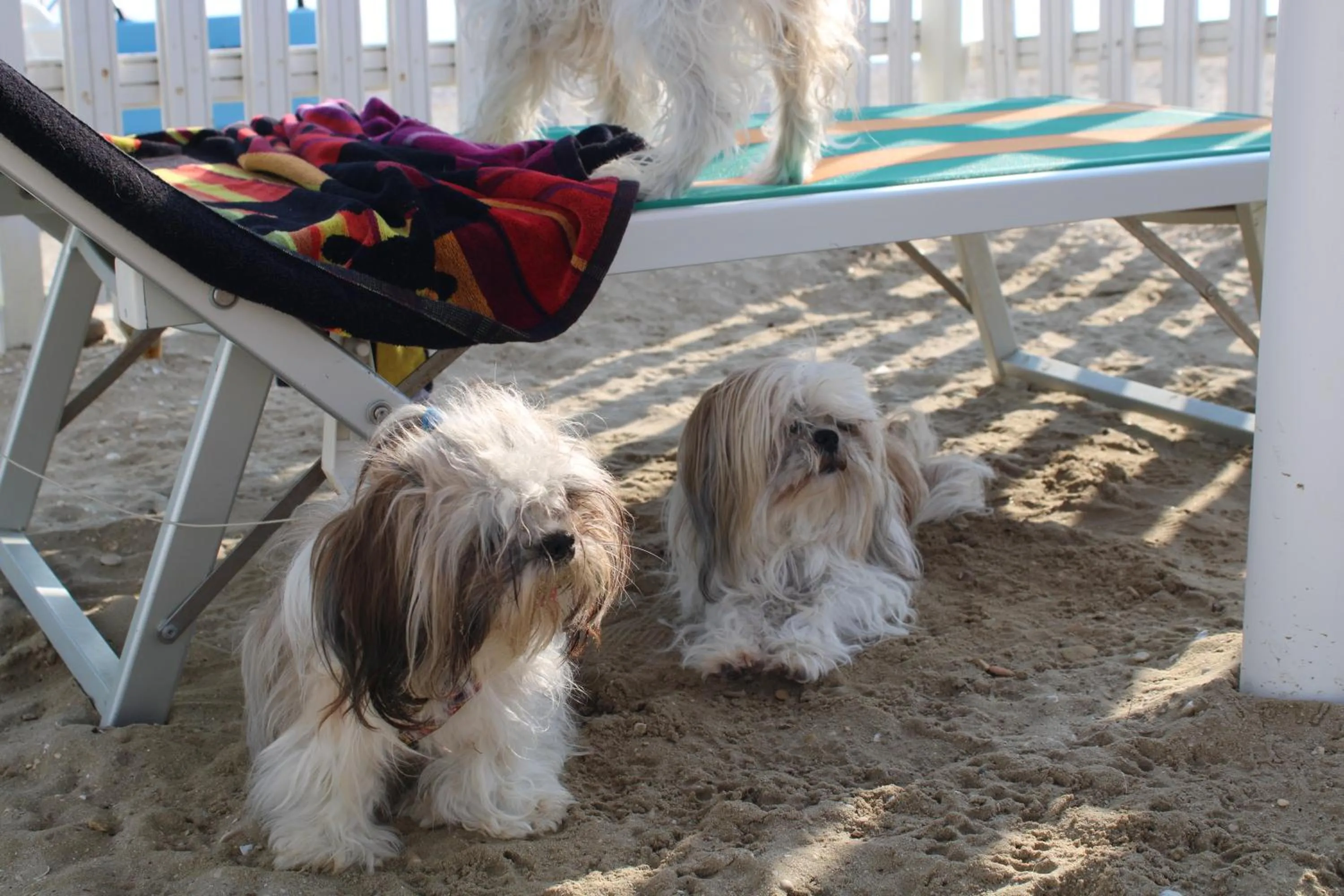 Beach in Hotel Atlantic