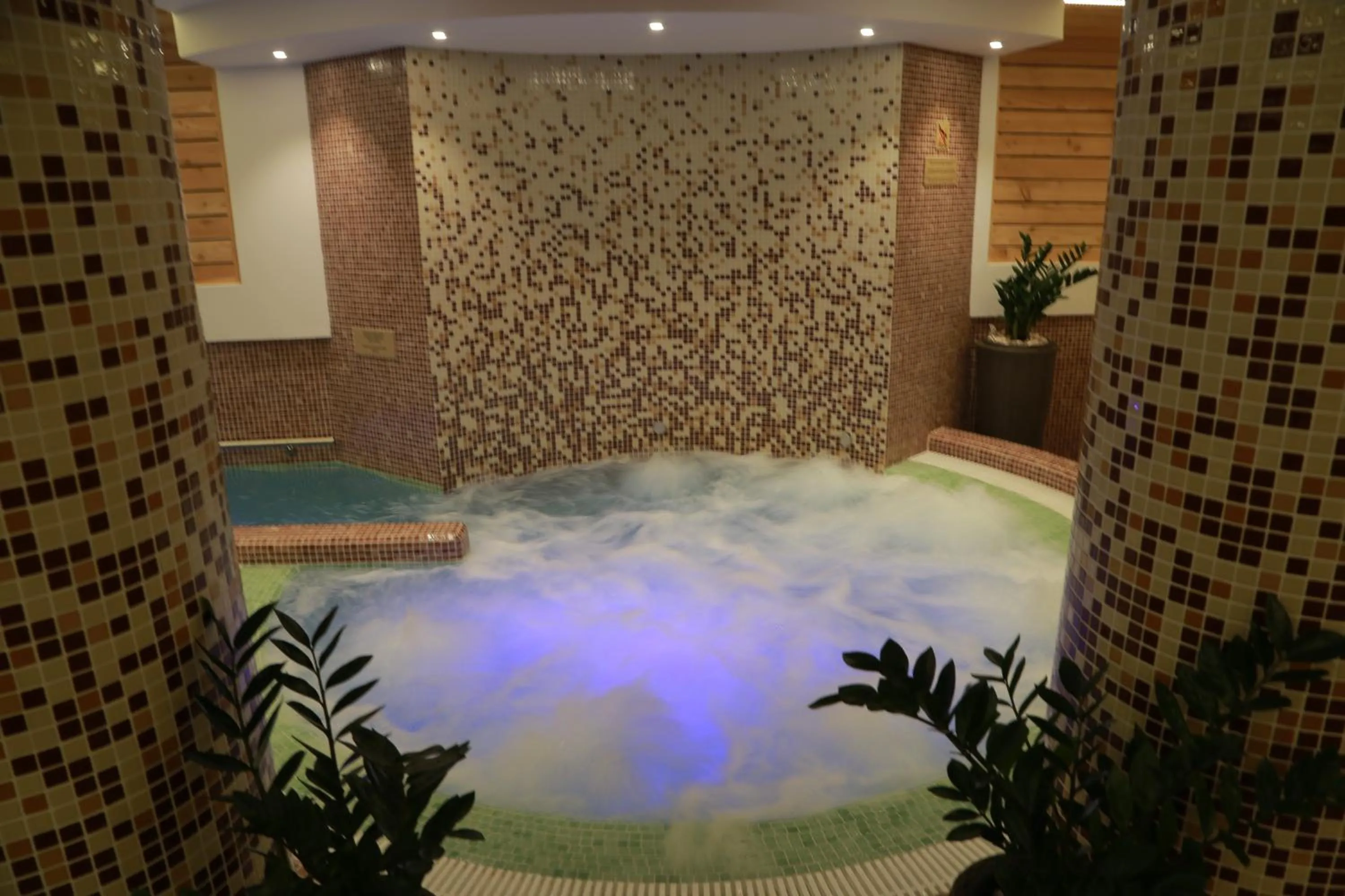 Swimming pool in Hotel Muresul Health Spa