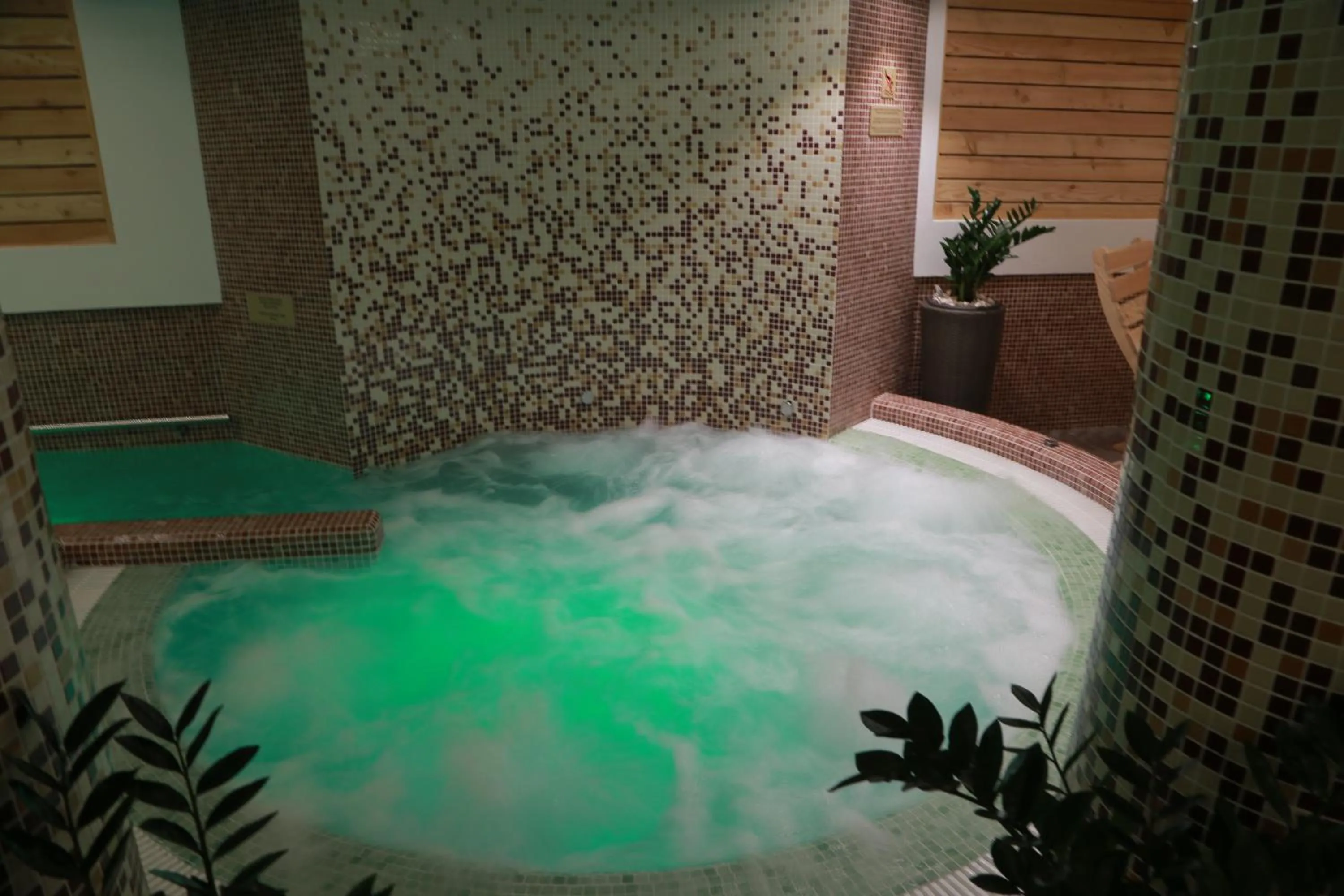 Swimming pool in Hotel Muresul Health Spa
