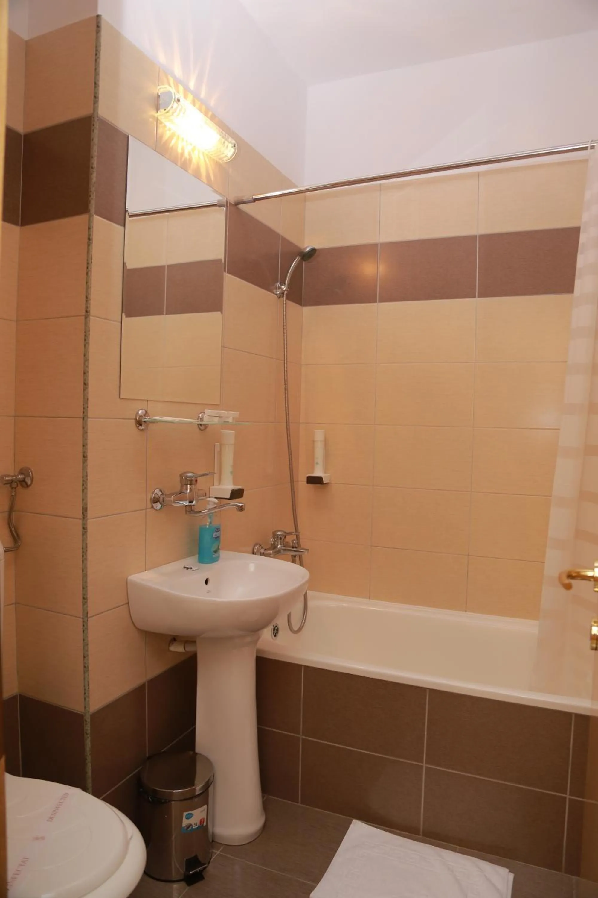 Hotel Muresul Health Spa