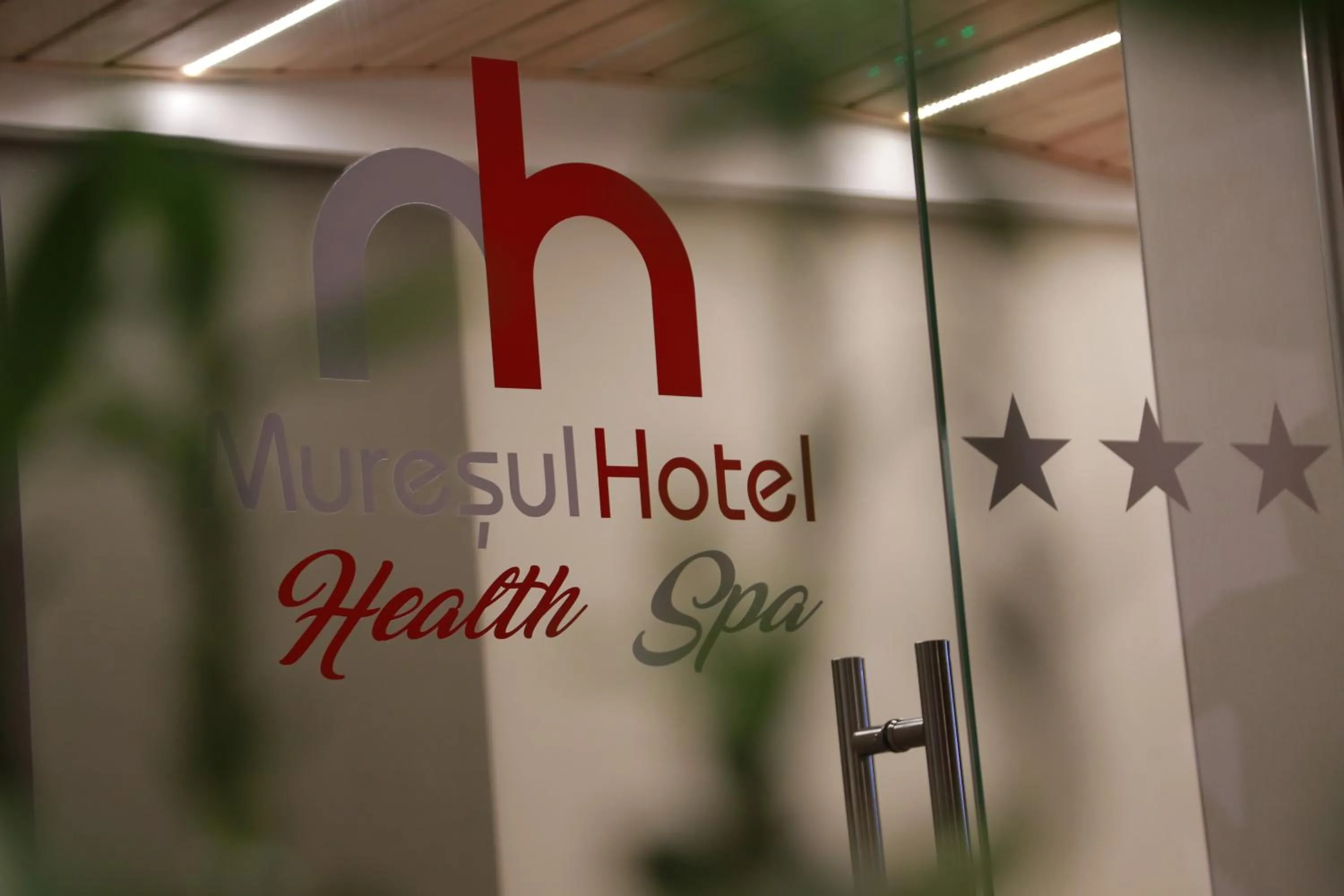 Swimming pool in Hotel Muresul Health Spa