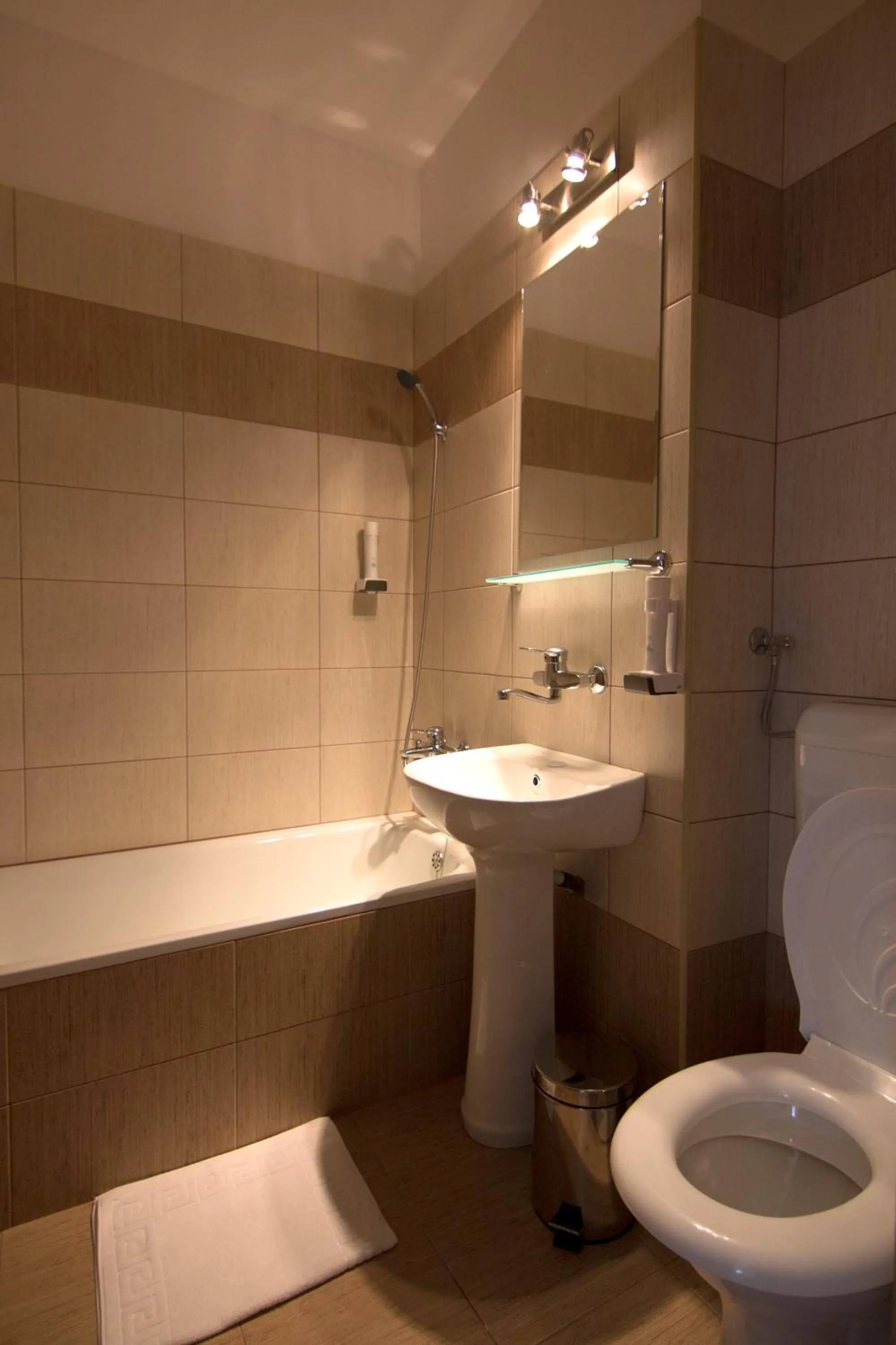 Hotel Muresul Health Spa