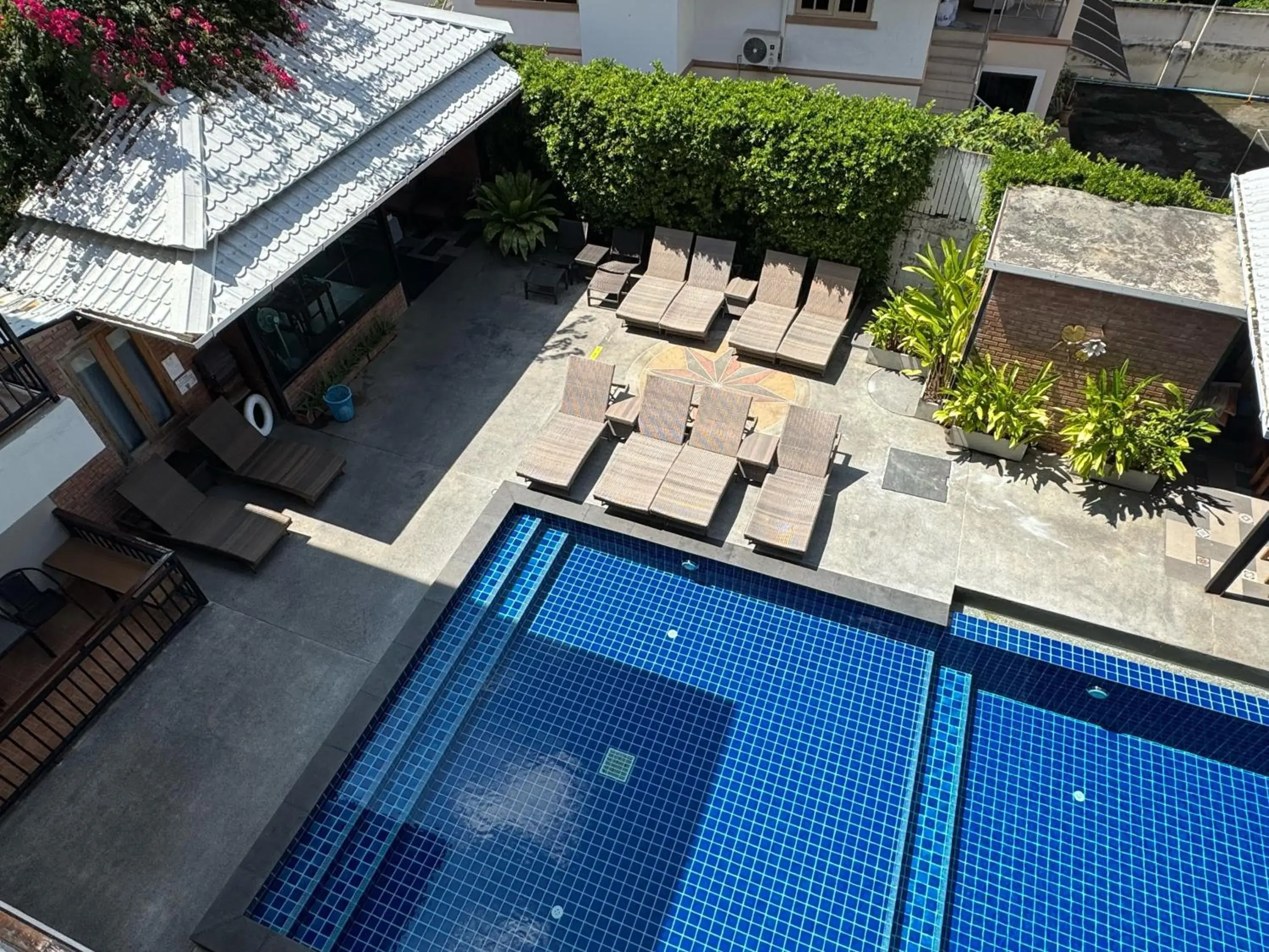 Pool view in Celosia Chiang Mai Hotel Pool view in Celosia Chiang Mai Hotel