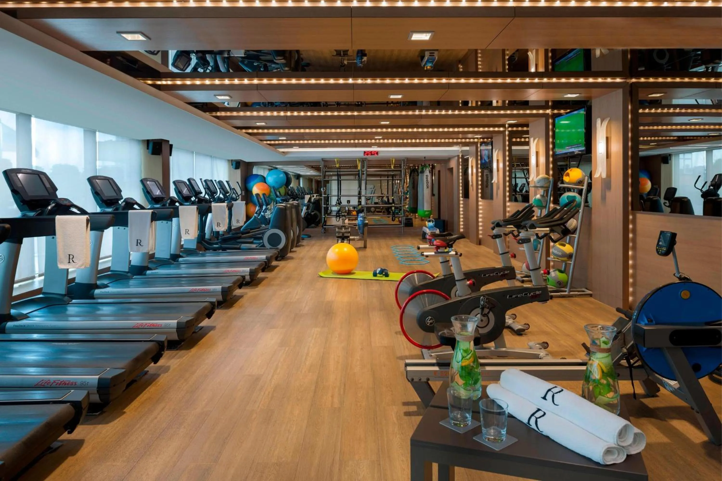 Fitness centre/facilities in Renaissance Istanbul Polat Bosphorus Hotel
