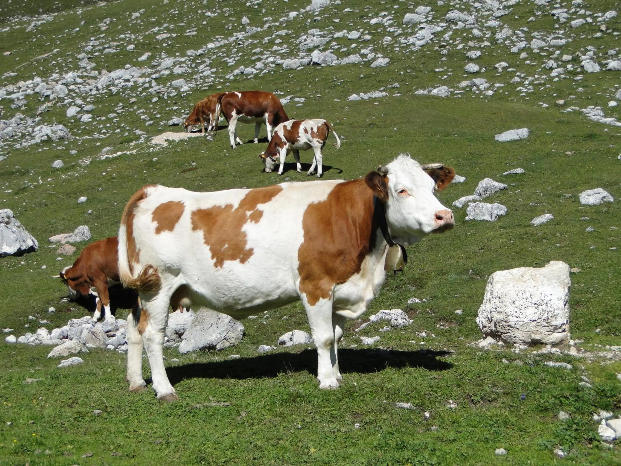 Hiking in Garni Irsara