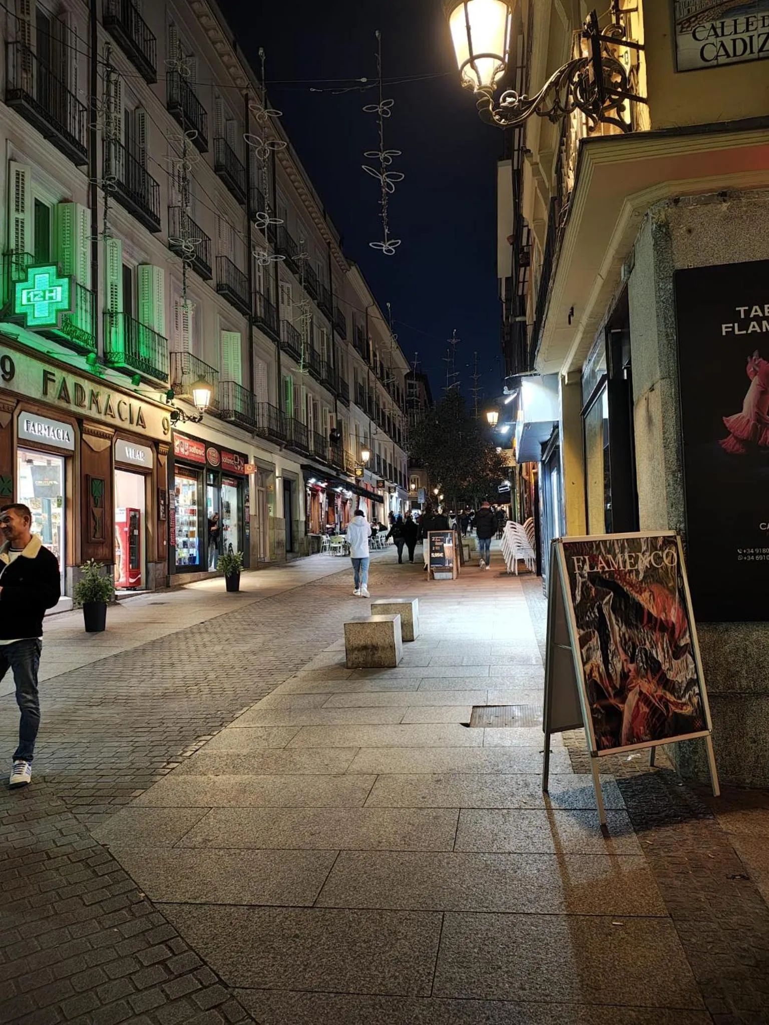 Natural landscape in Hostal JQ Madrid 1