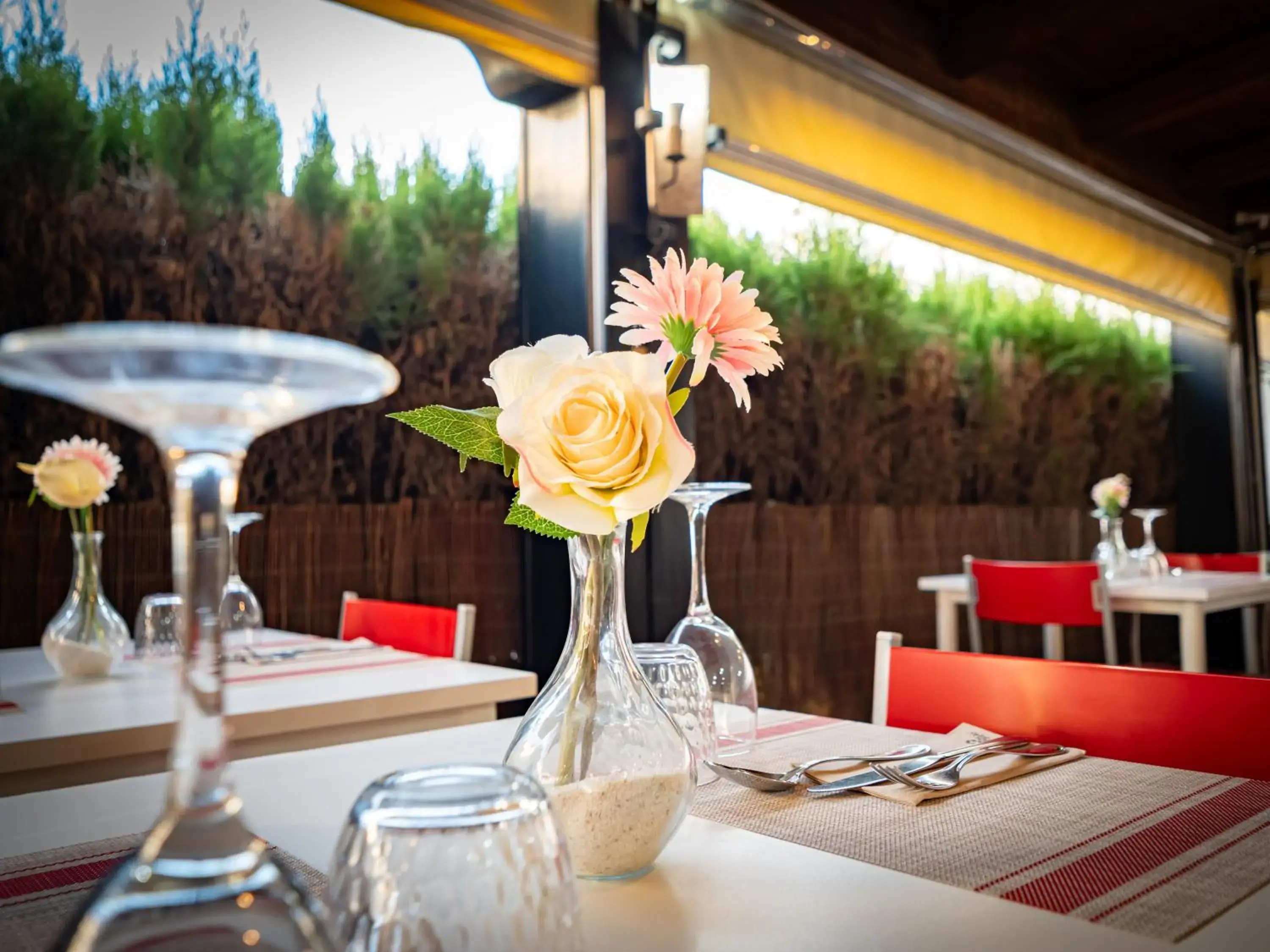 Restaurant/places to eat in Interpass Golf Playa Country Club Restaurant/places to eat in Interpass Golf Playa Country Club