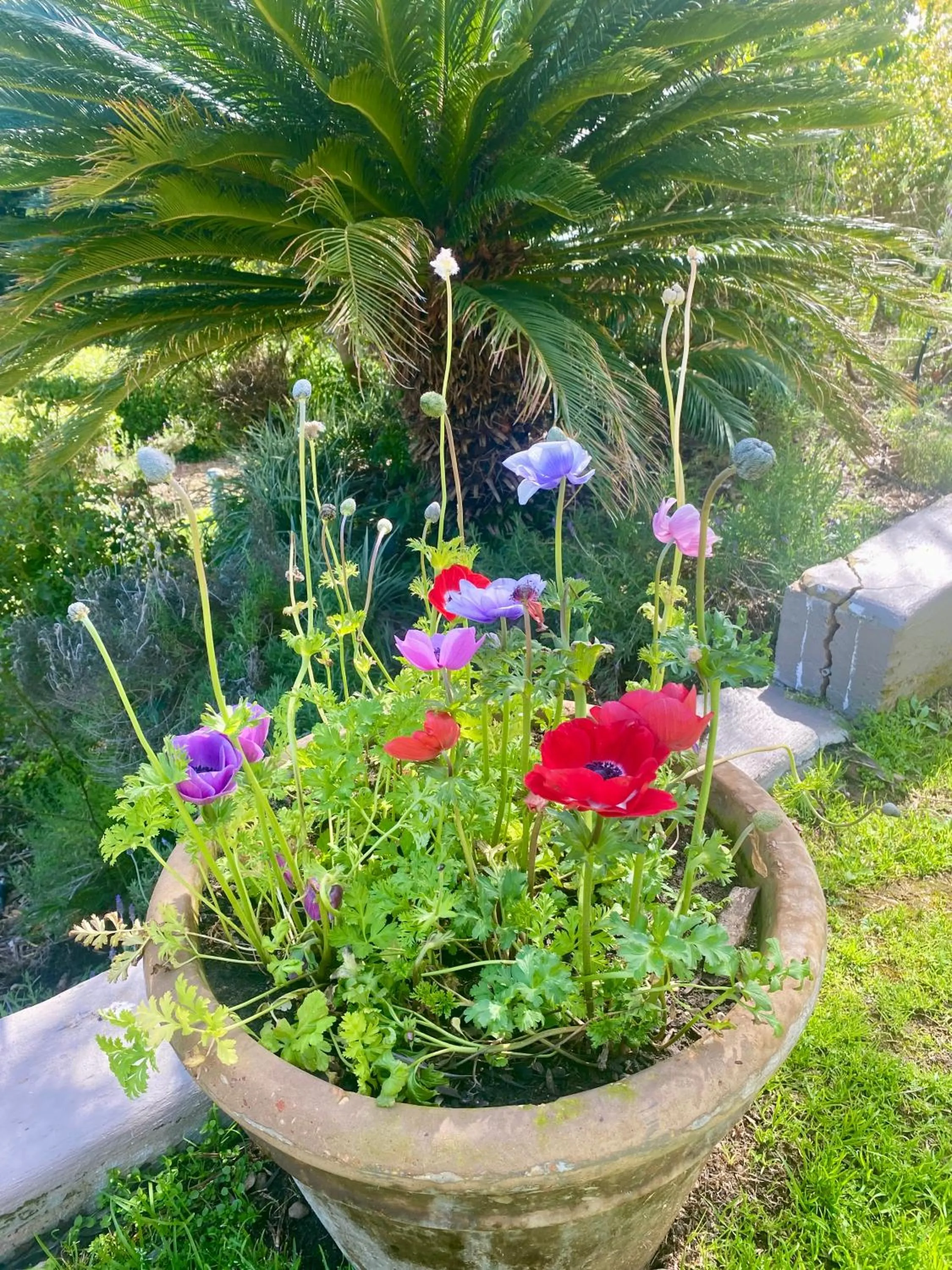 The View Swellendam B&B