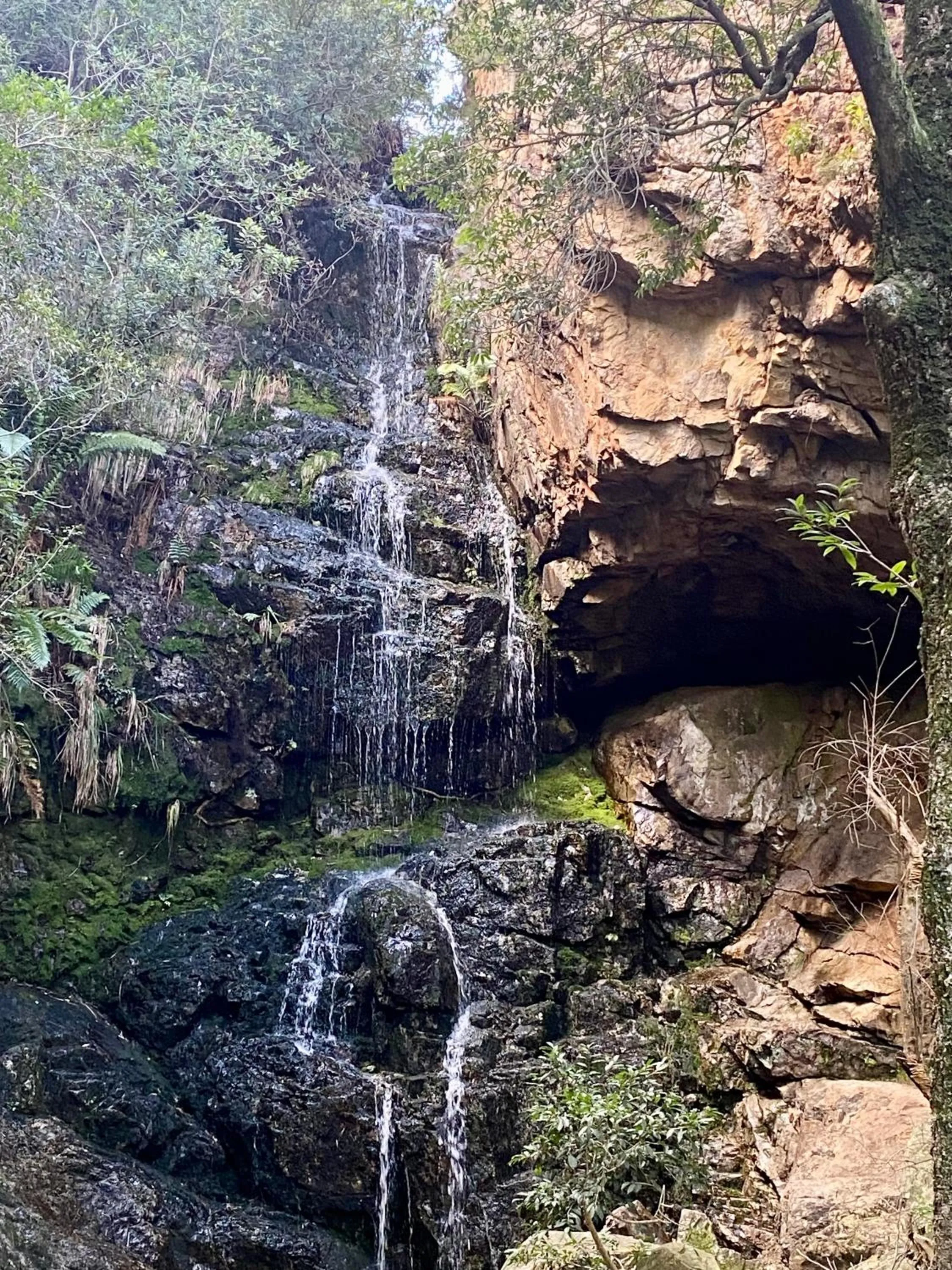 The View Swellendam B&B