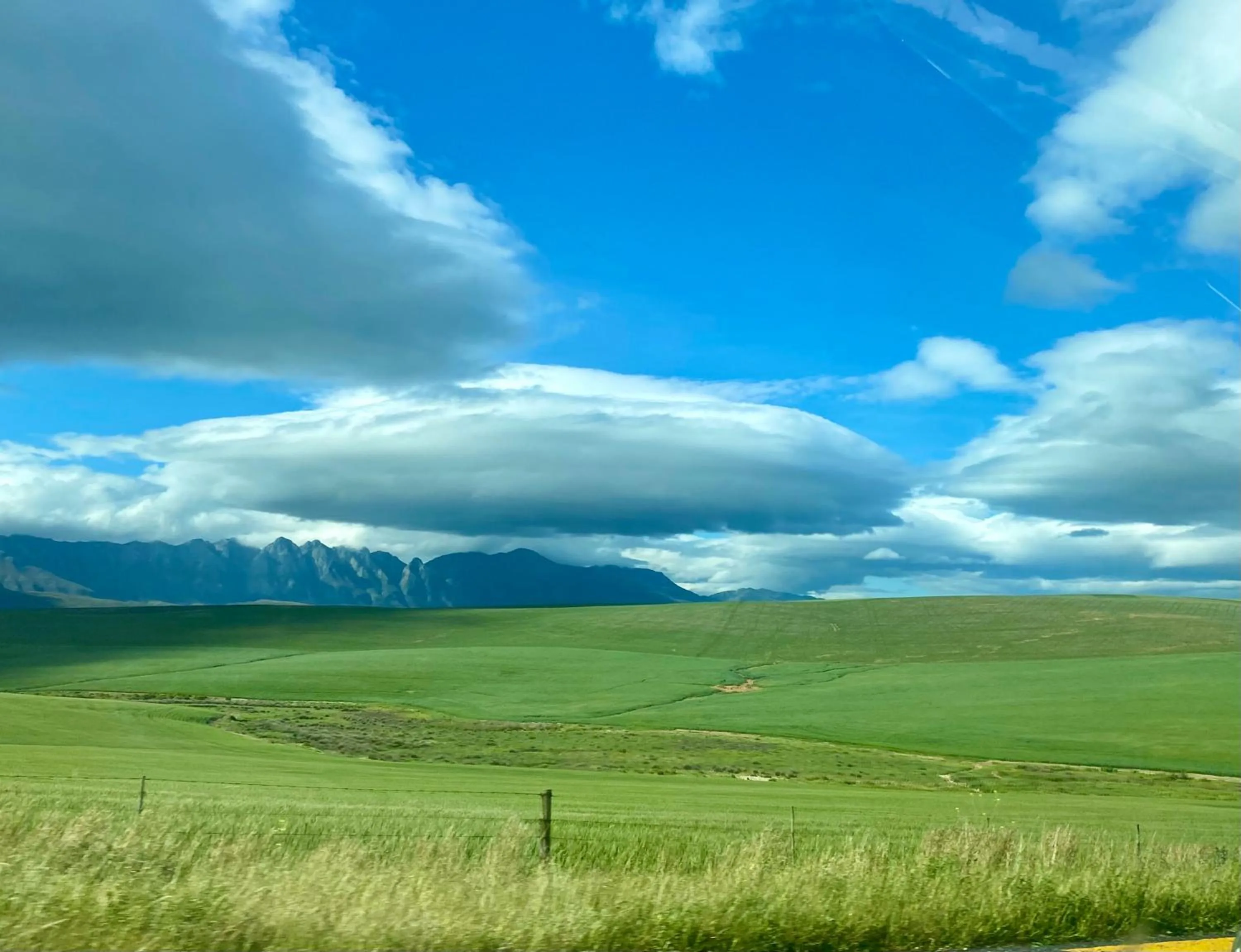 The View Swellendam B&B