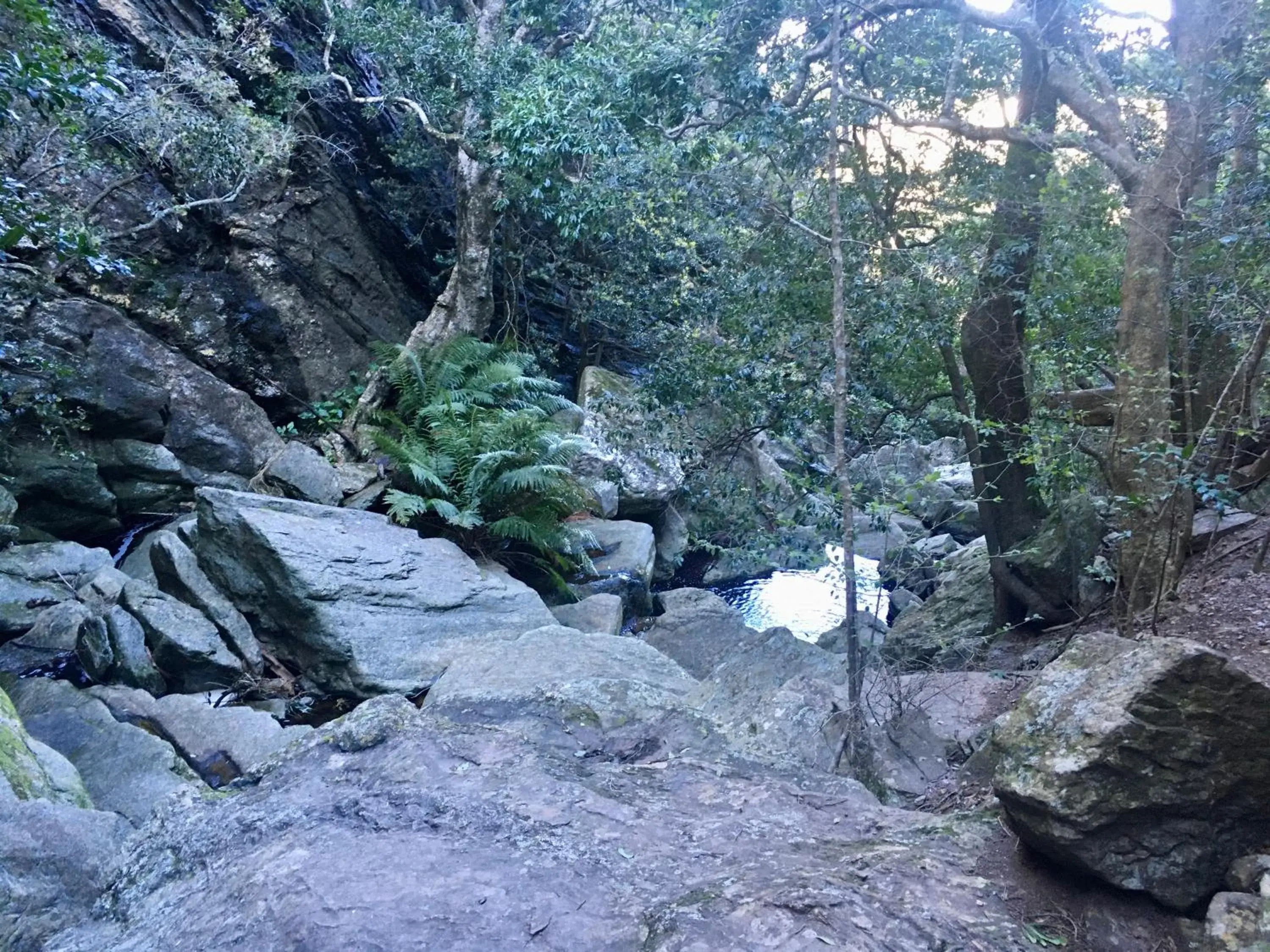 The View Swellendam B&B The View Swellendam B&B