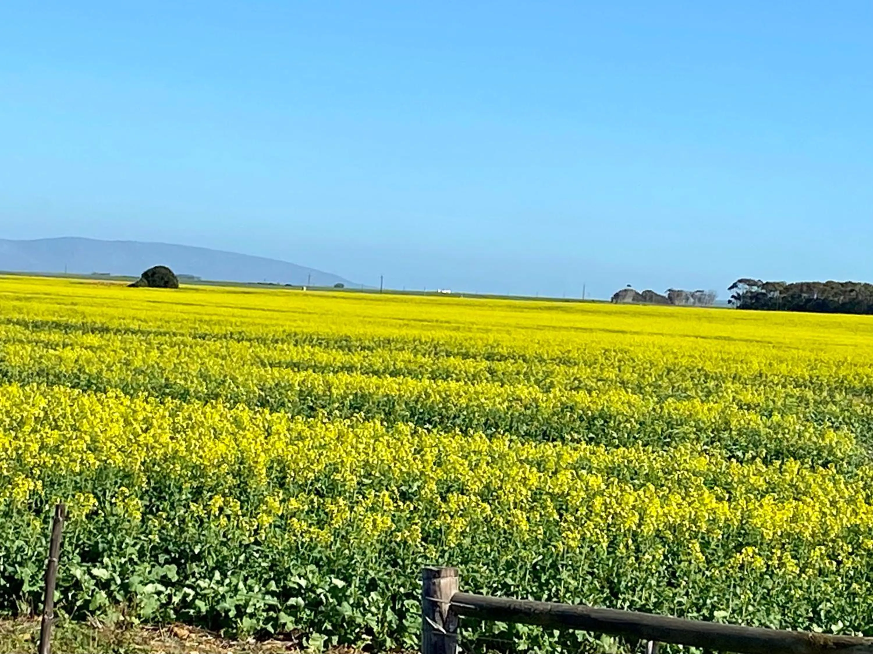 The View Swellendam B&B