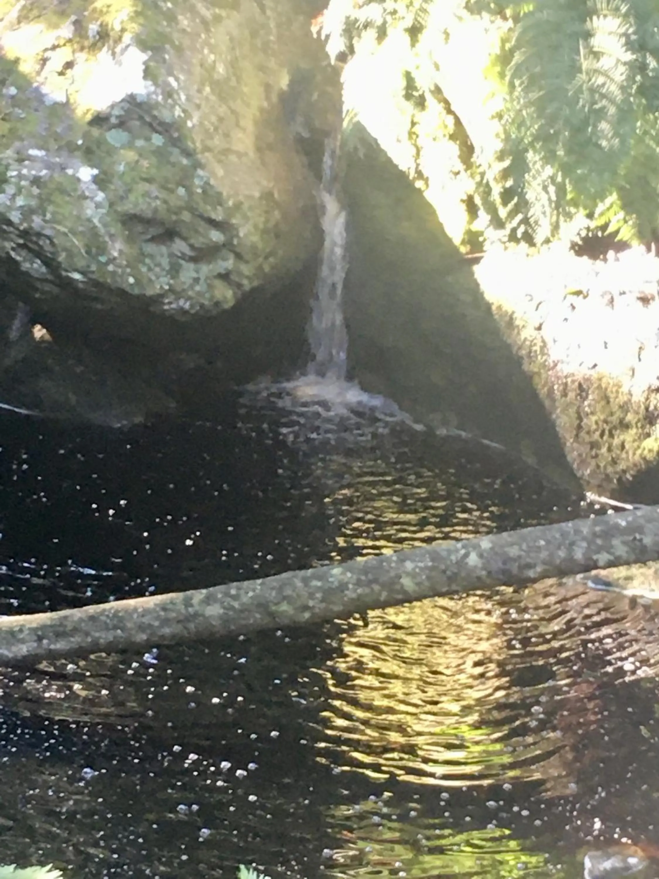 The View Swellendam B&B