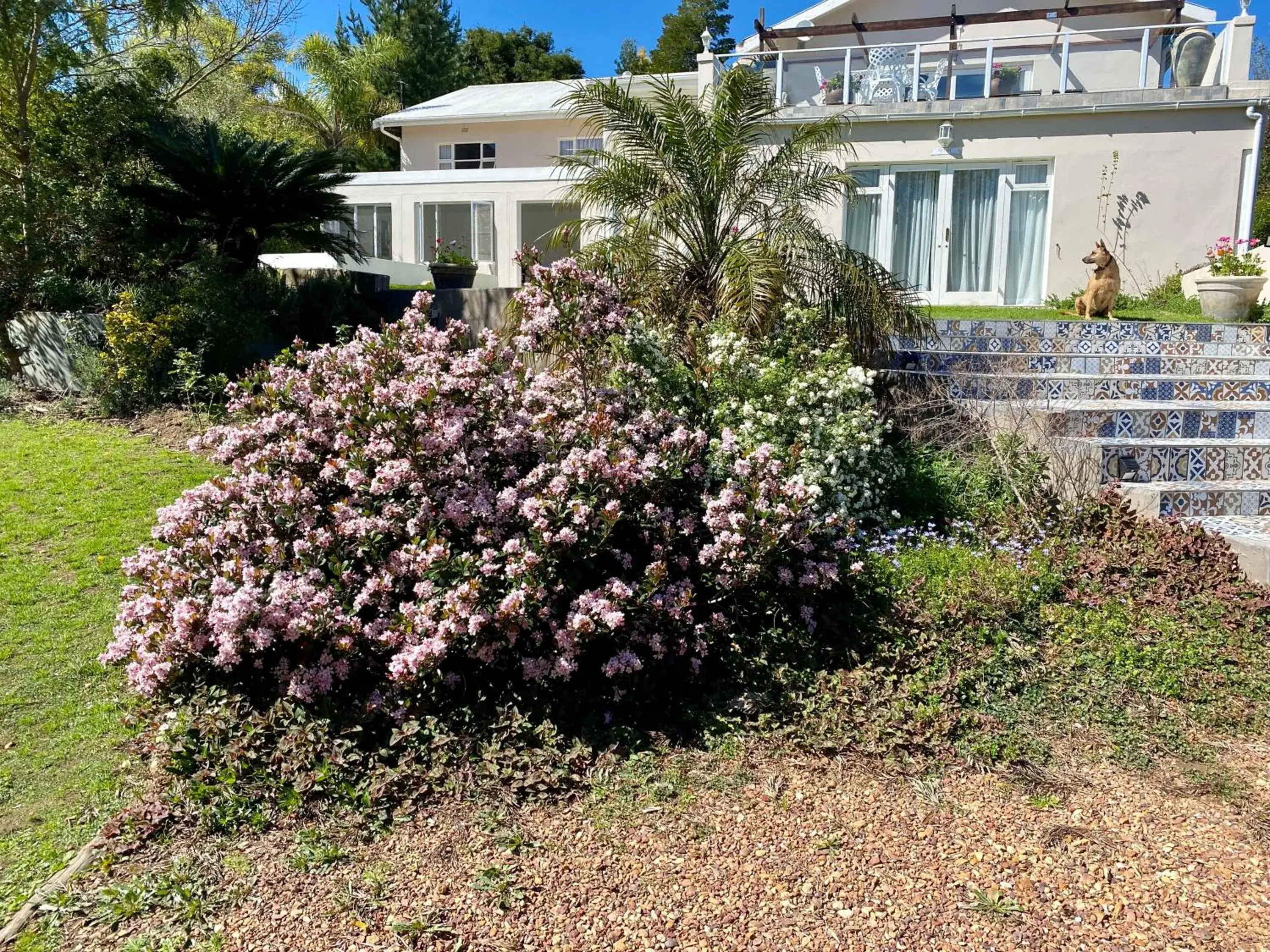 The View Swellendam B&B The View Swellendam B&B
