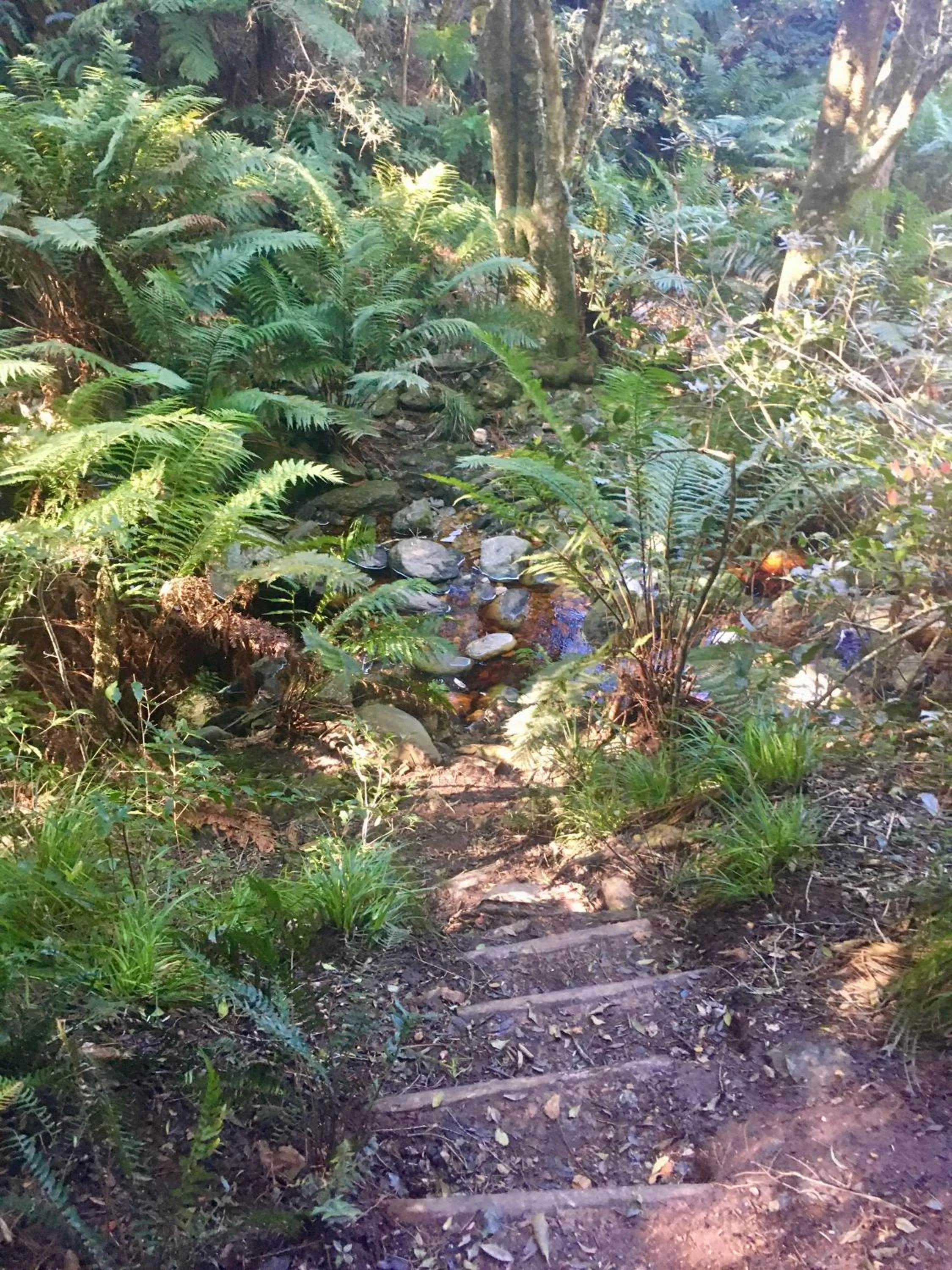 The View Swellendam B&B