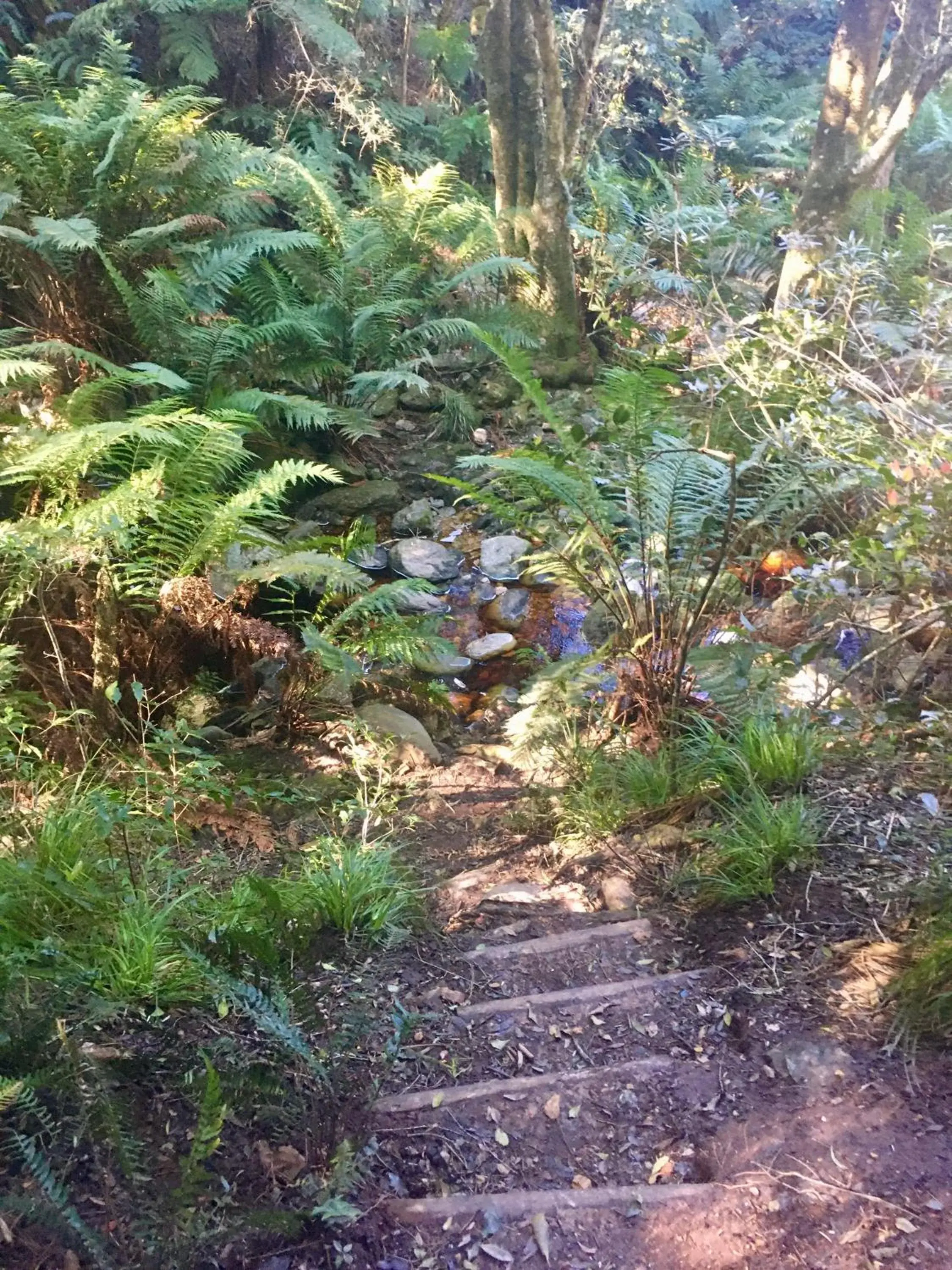 The View Swellendam B&B The View Swellendam B&B