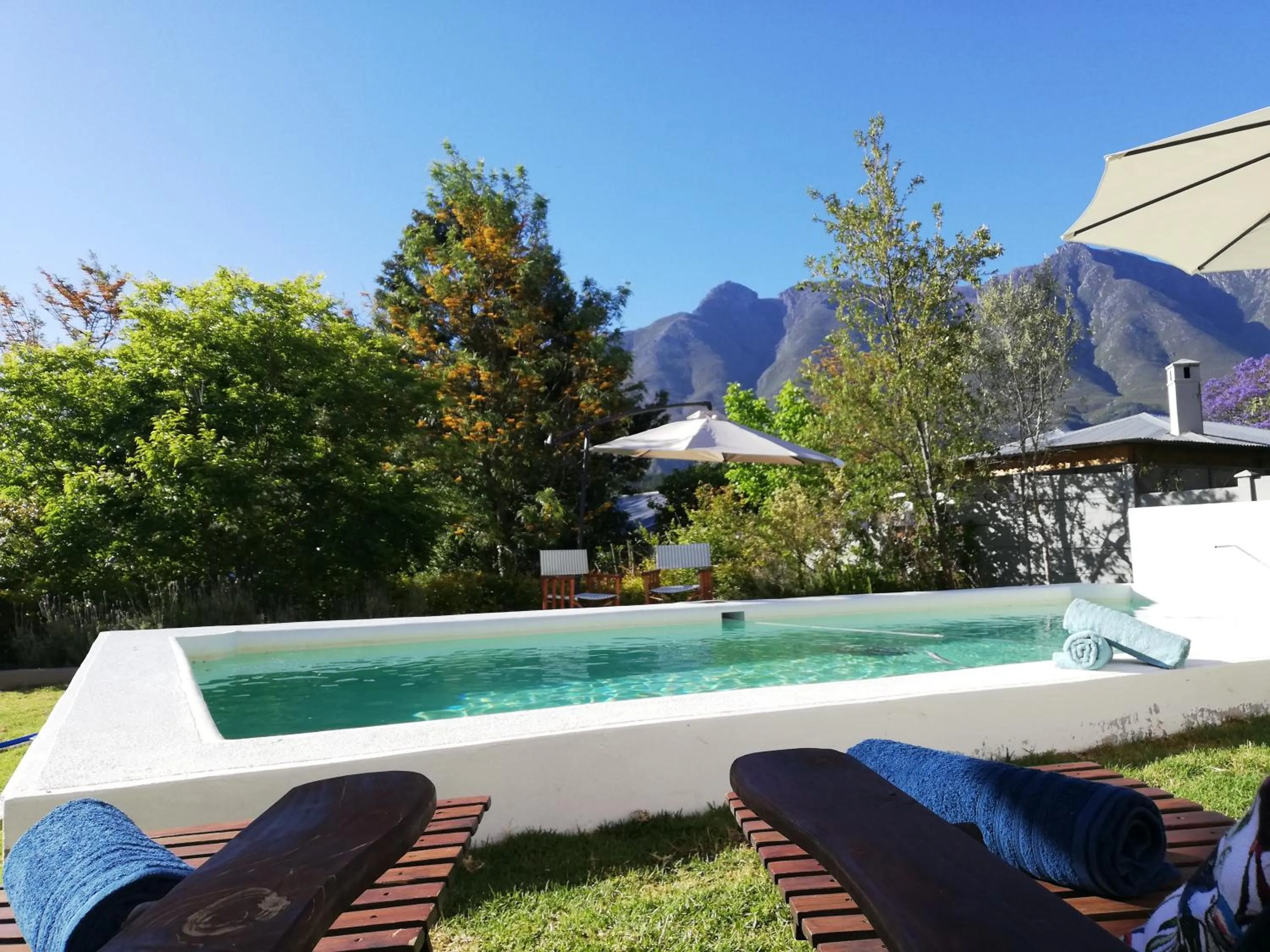 Swimming pool in The View Swellendam B&B