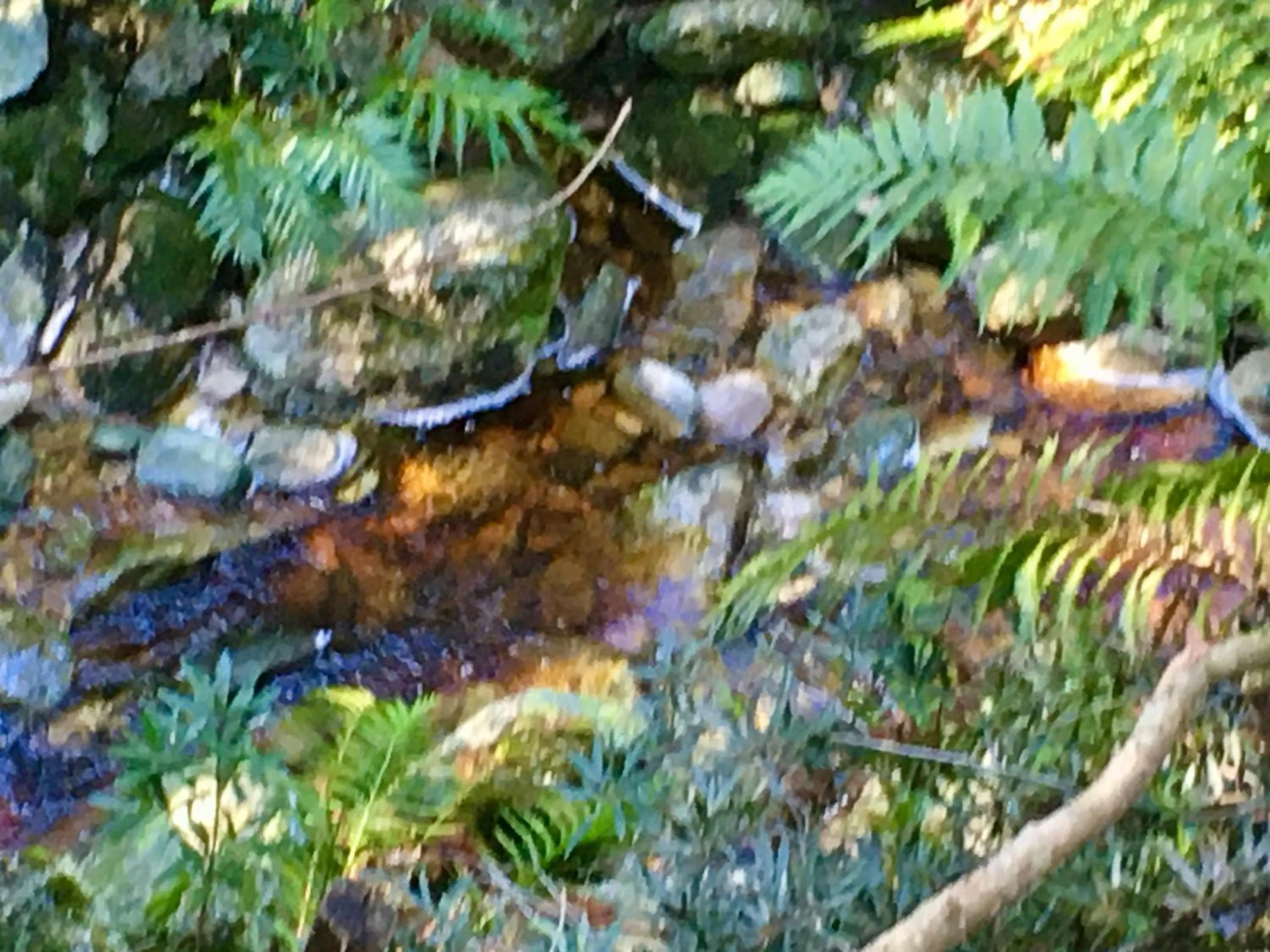 The View Swellendam B&B