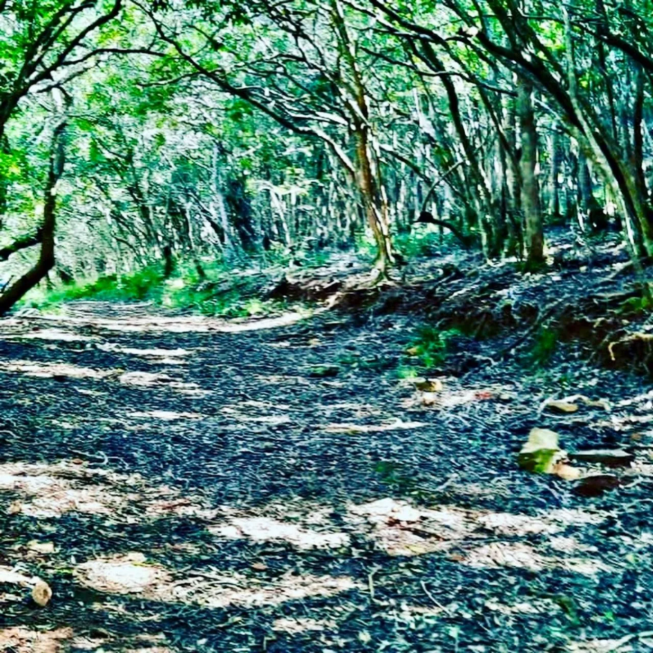 The View Swellendam B&B